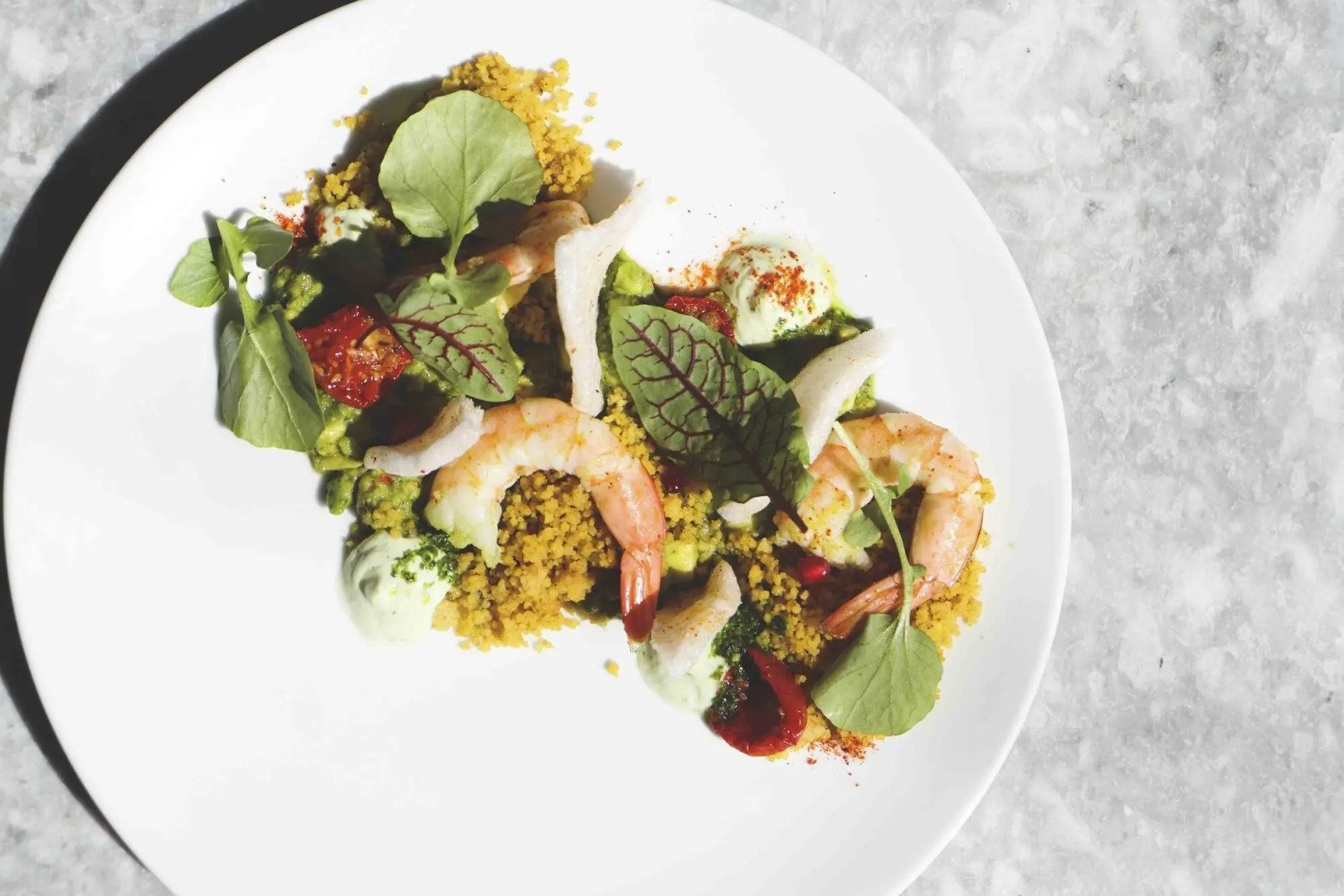 Photo - TORTUE Hamburg