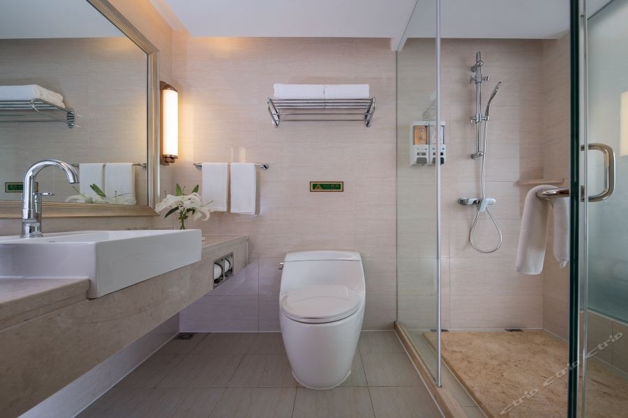 Vienna International Hotel (Changfeng Park Shop, Jinshajiang Road, Shanghai)