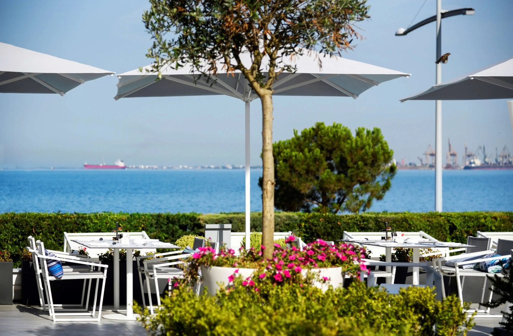 Photo - Makedonia Palace Hotel