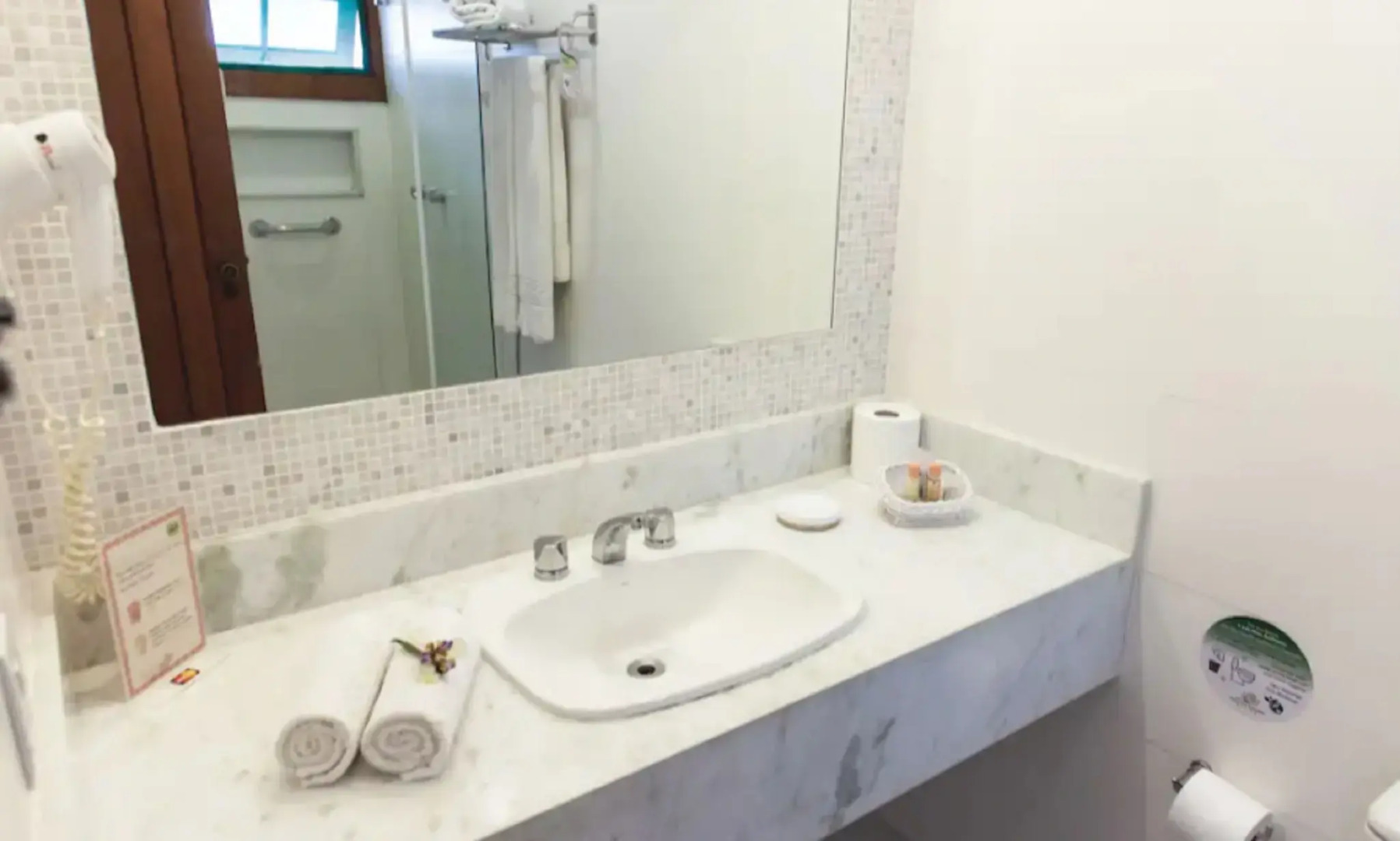 Foto - Corais e Conchas