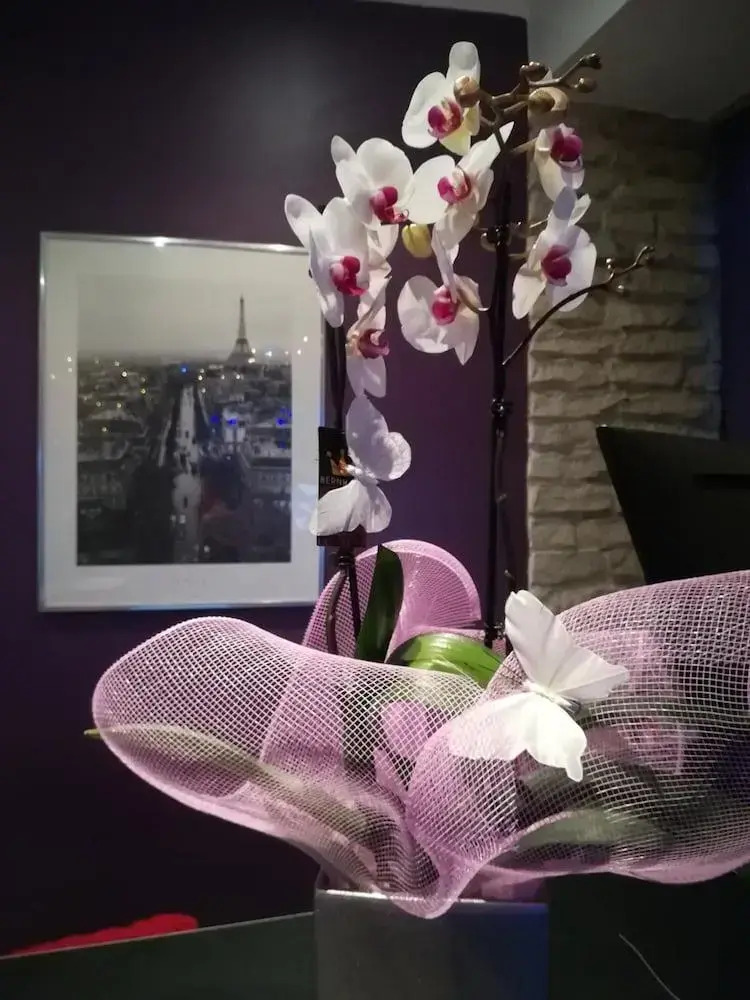 Foto - Hotel du Globe 18