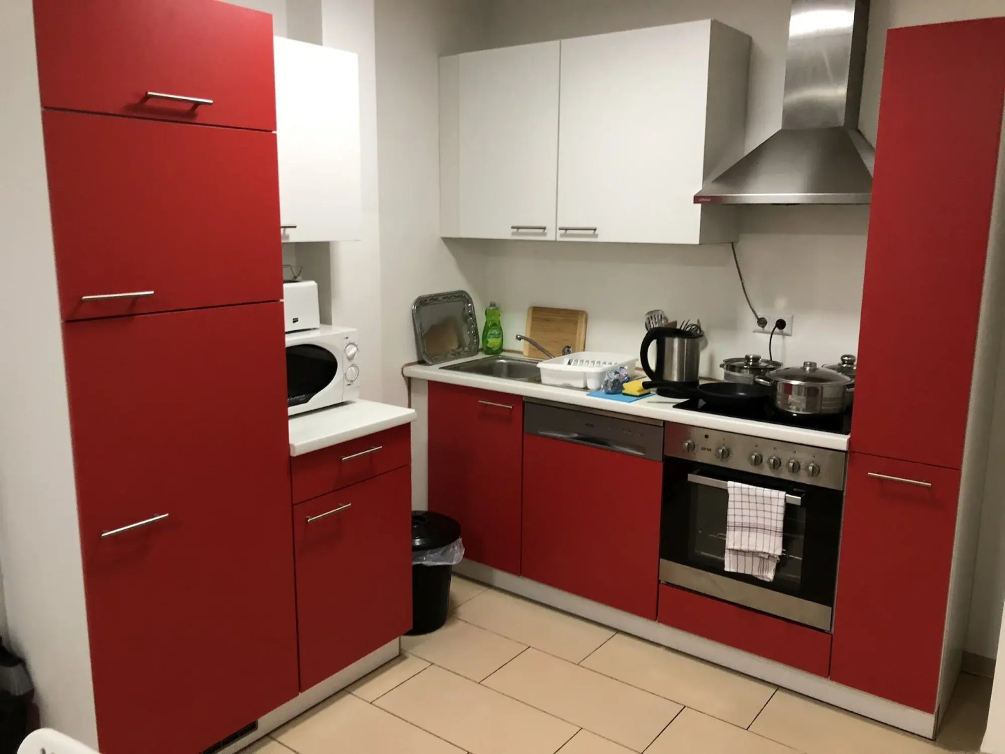 Photo - Sahara Falcon