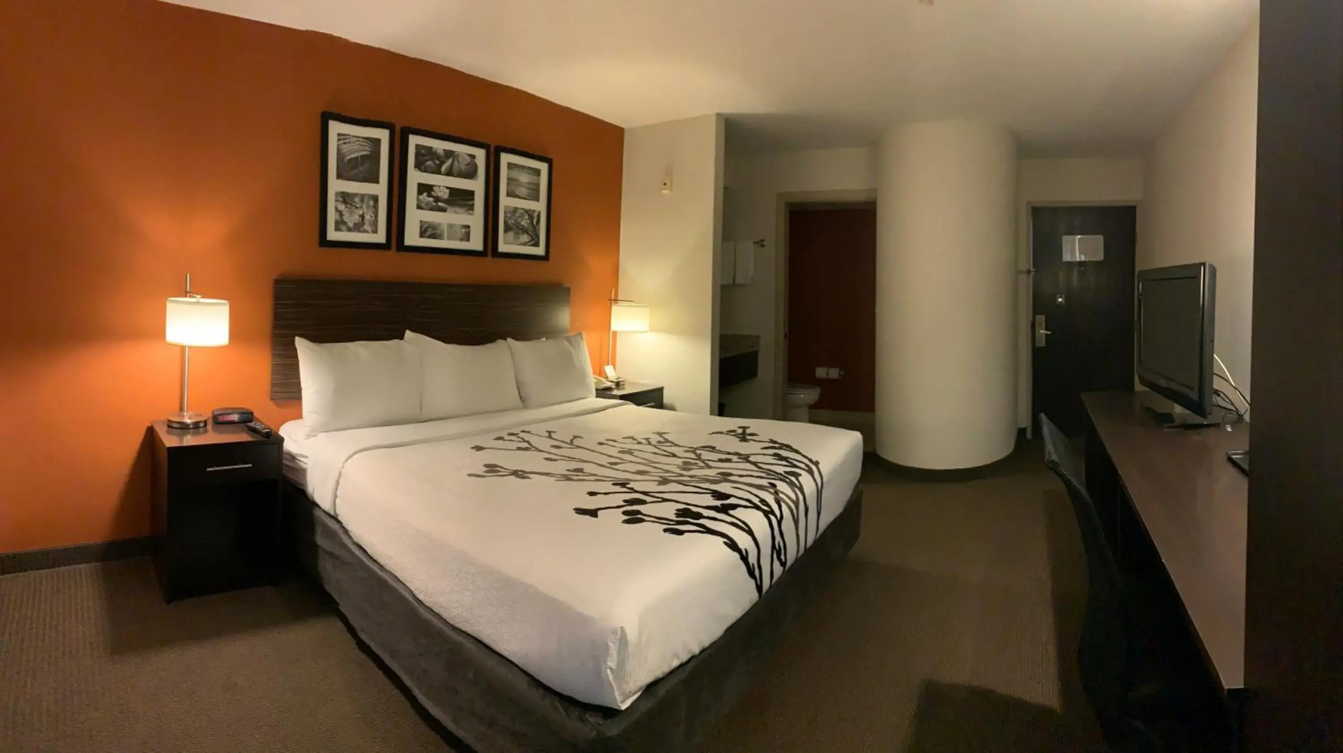 Foto - Sleep Inn Phoenix North I-17