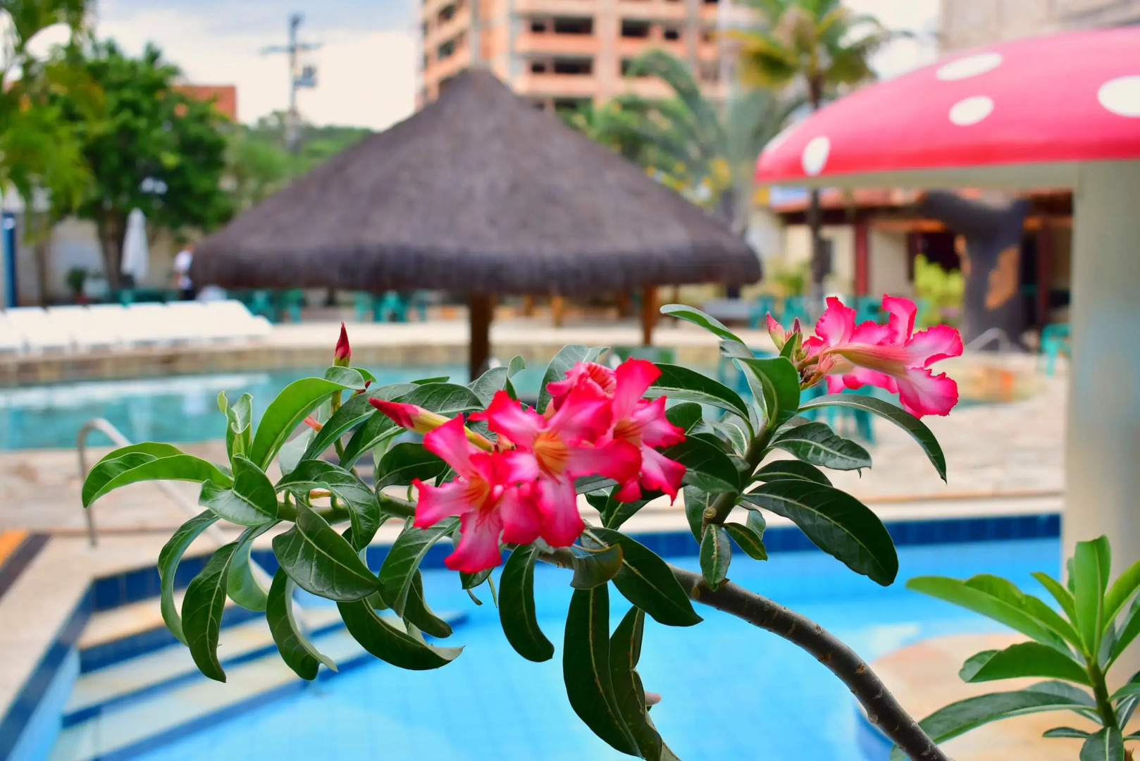 Foto - Rio das Pedras Thermas Hotel