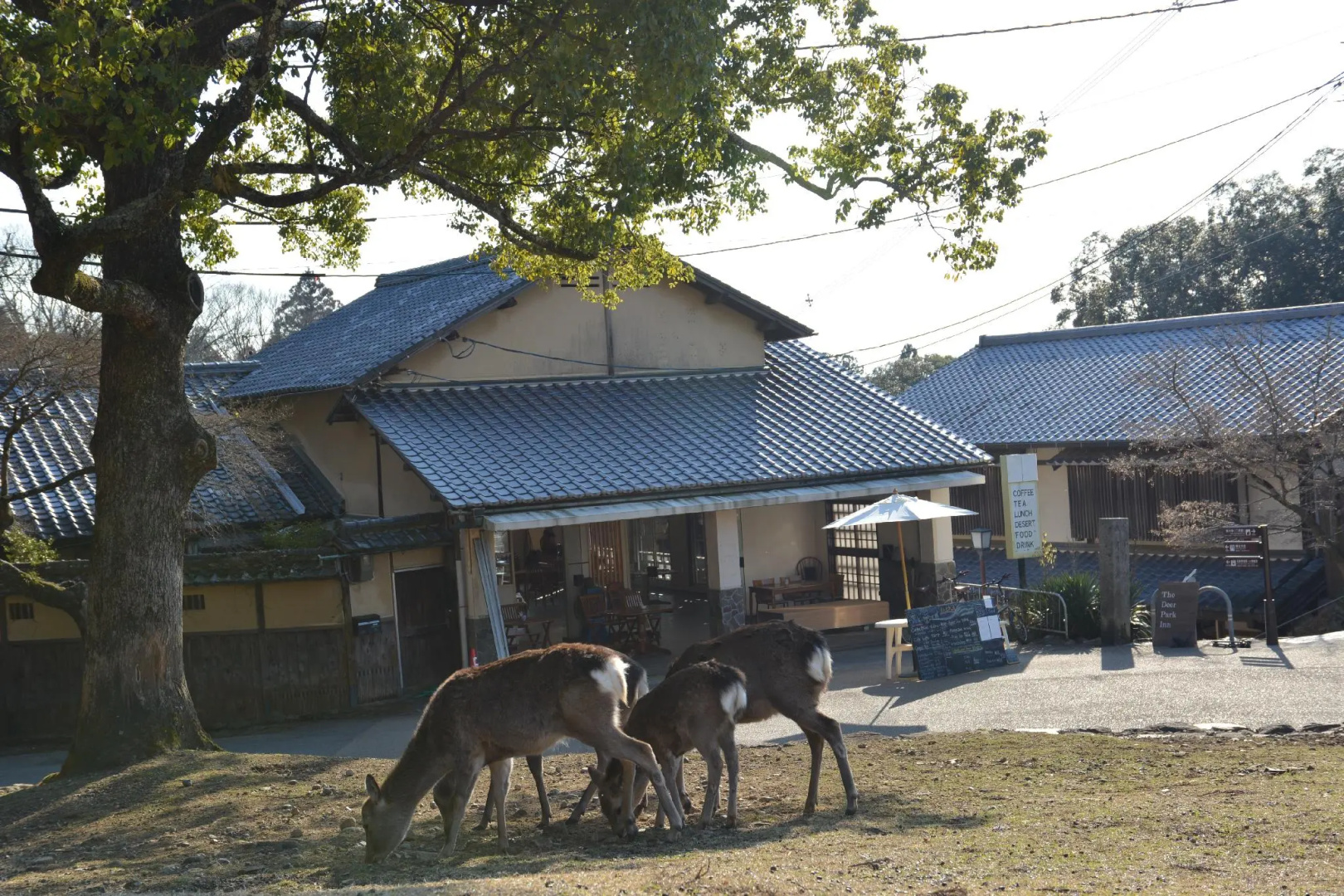 Photo - The Deer Park Inn