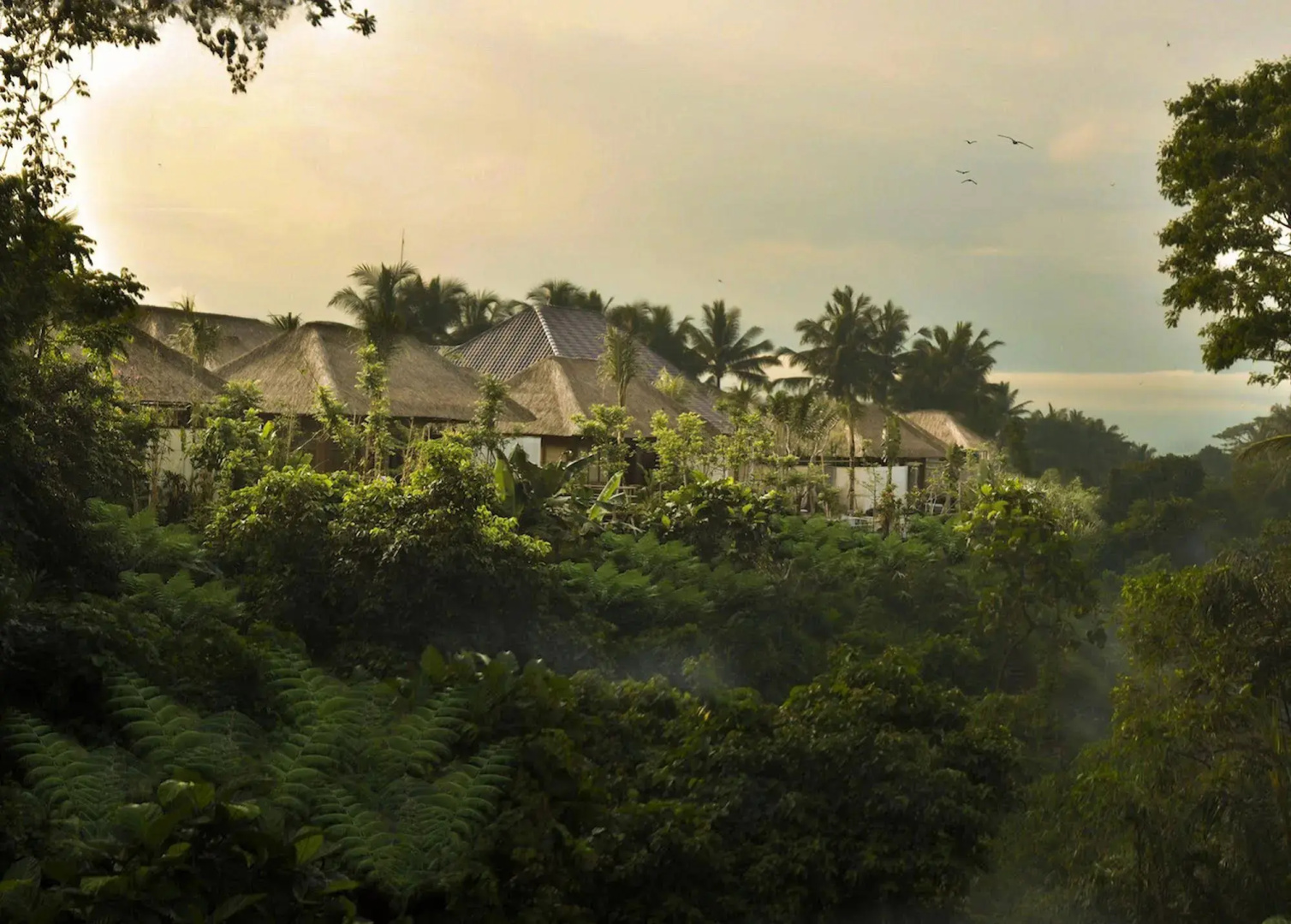 Photo - Luwak Ubud Villa & Jungle Suite