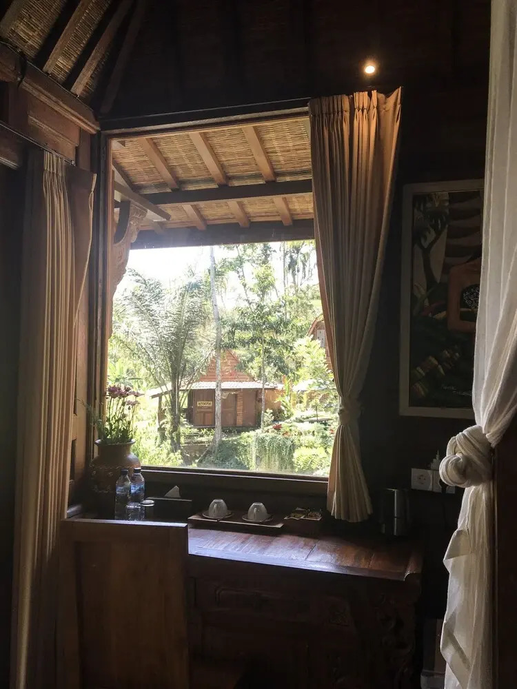 Foto - The Jungle Villa