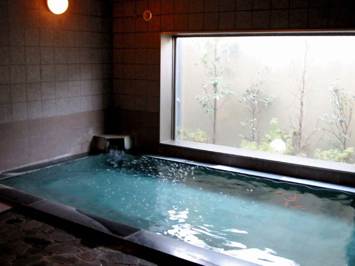 Foto - Hotel Route-Inn Ageo
