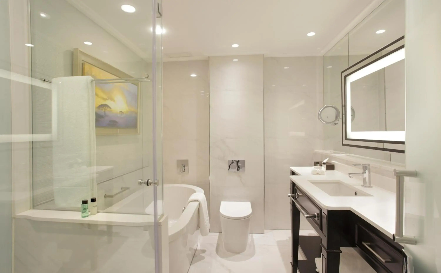 Photo - Sandton Sun and Towers