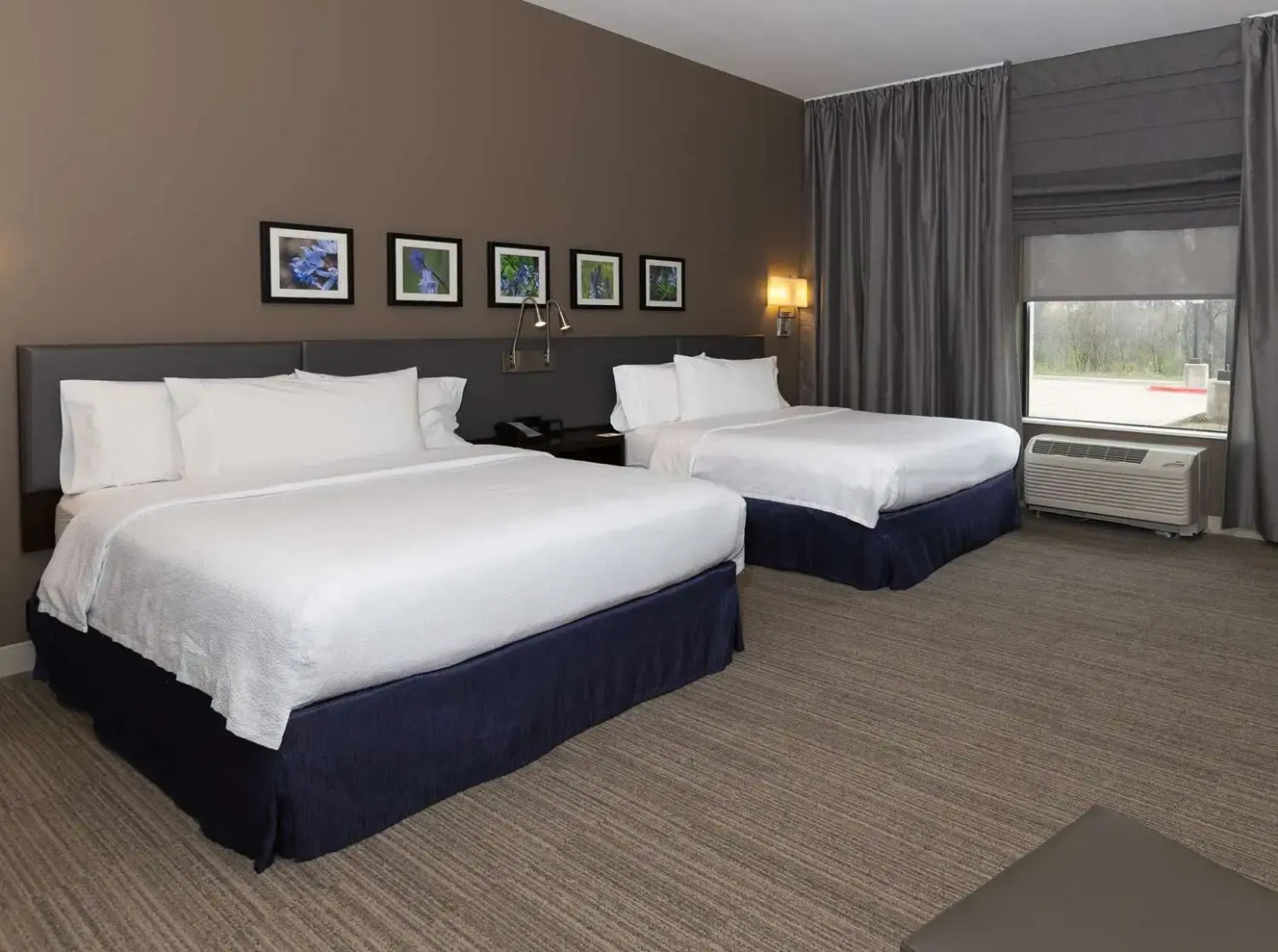 Photo - Hilton Garden Inn Austin Airport