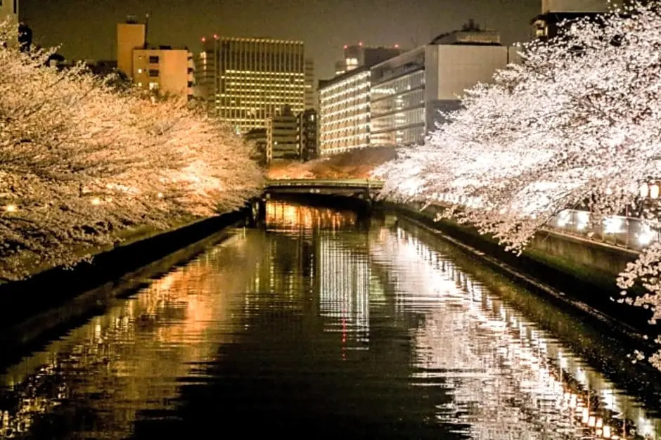 Photo - Prime Suites Tokyo