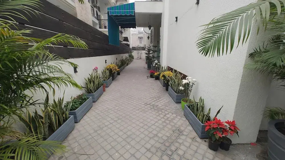 Photo - Saltstayz Select - Nehru Place & New Friends Colony