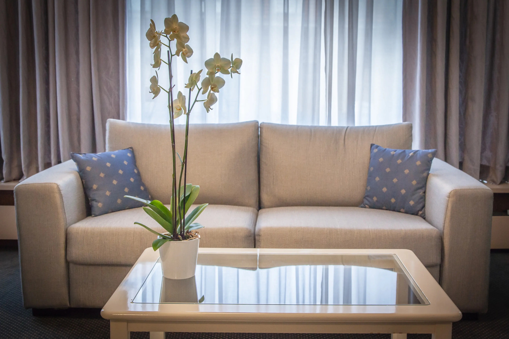 Foto - First Euroflat Hotel