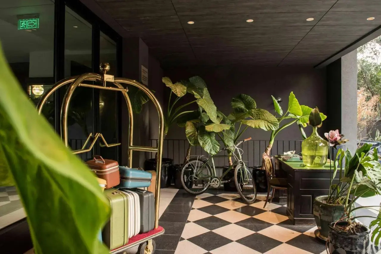 Foto - Hotel Eco Boutique Bidasoa
