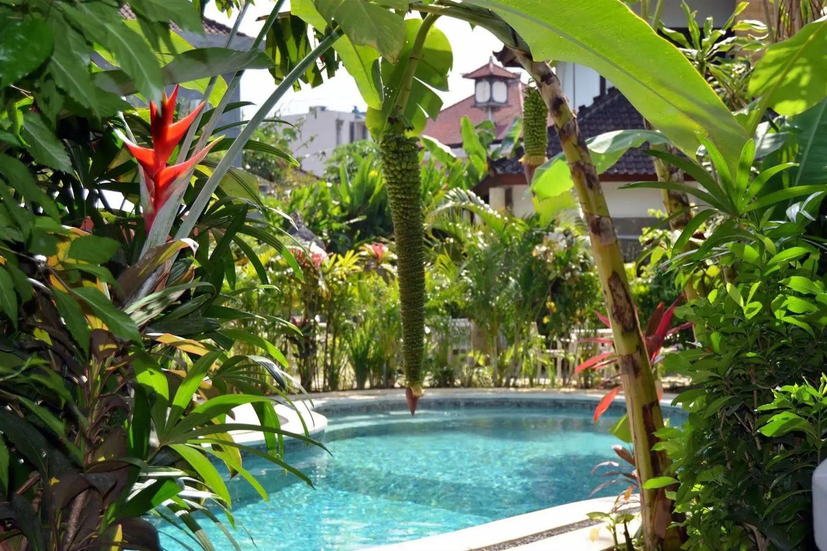 Foto - Pearl Boutique Hotel Adult only