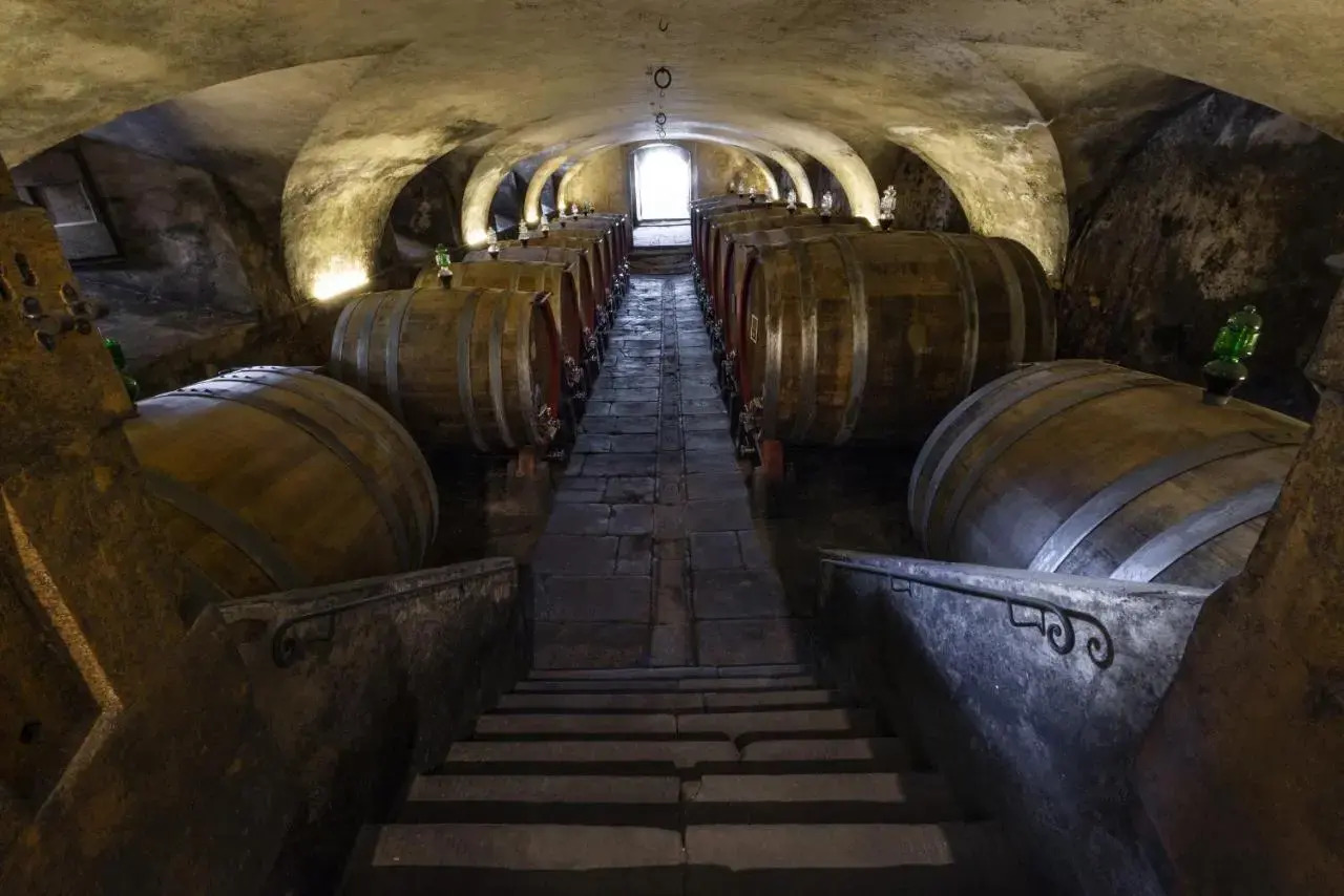 Photo - Torre a Cona Wine Estate