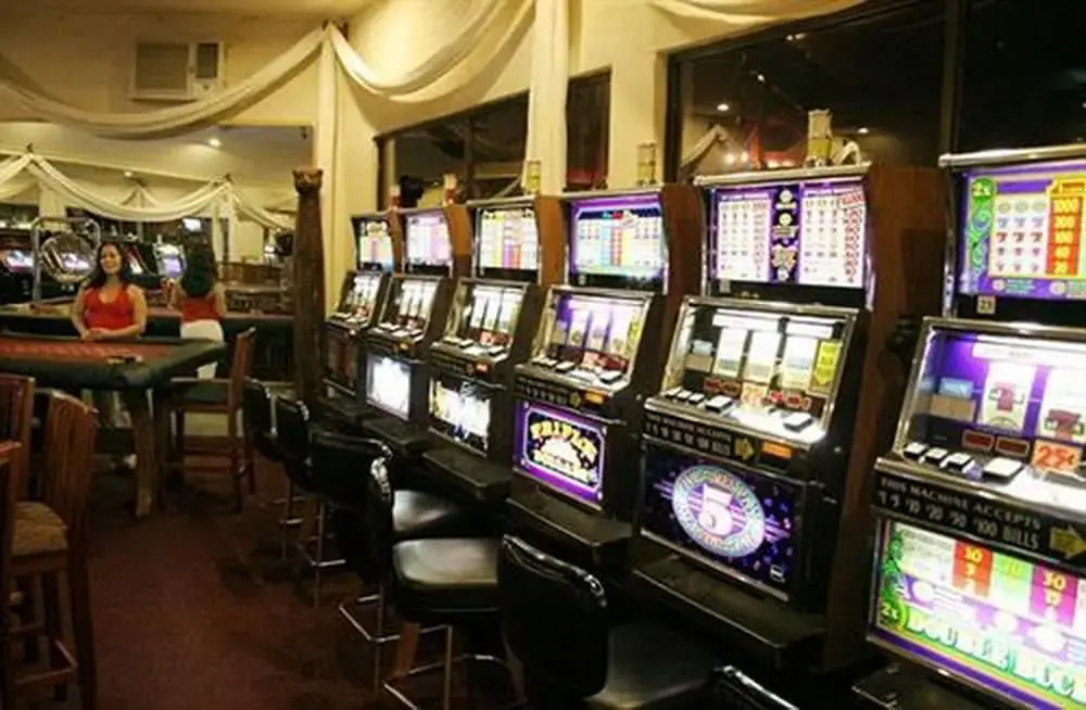 Foto - ECOTICA Boutique Hotel & Spa