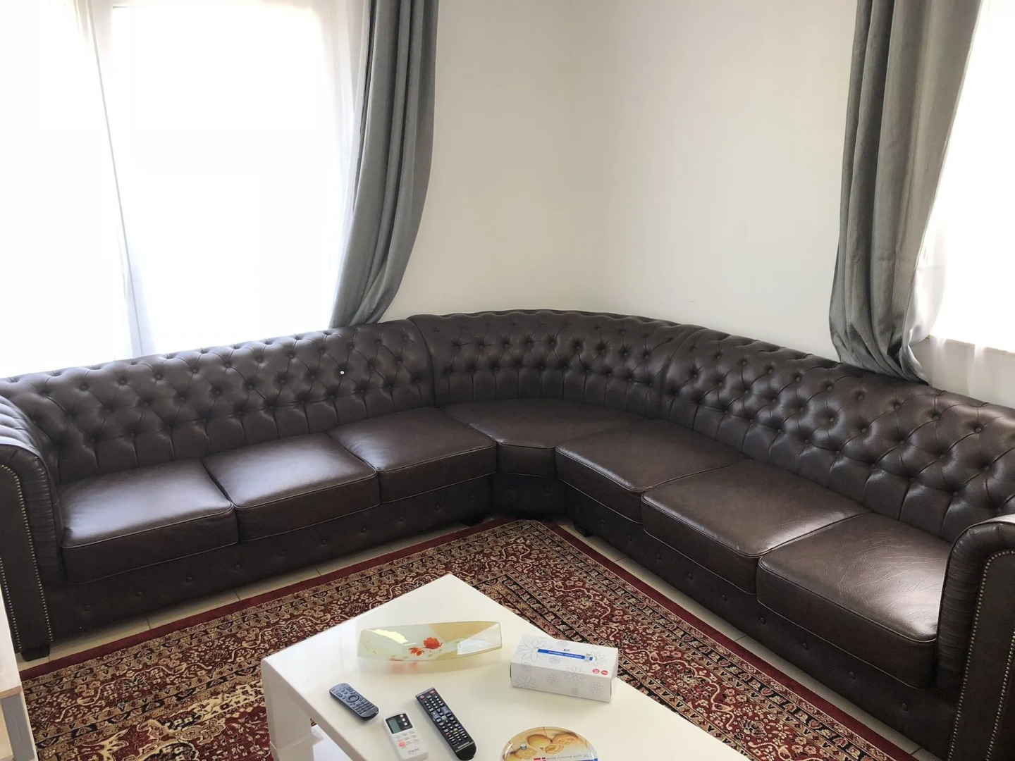 Photo - Sahara Falcon