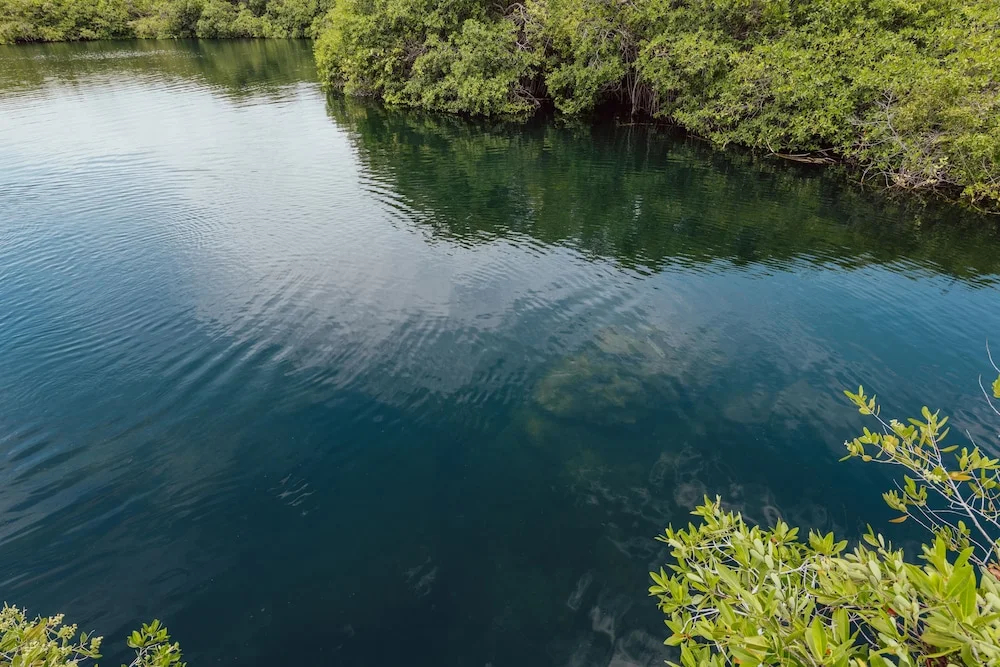 Photo - Yaxchen Tulum Cabañas & Cenote