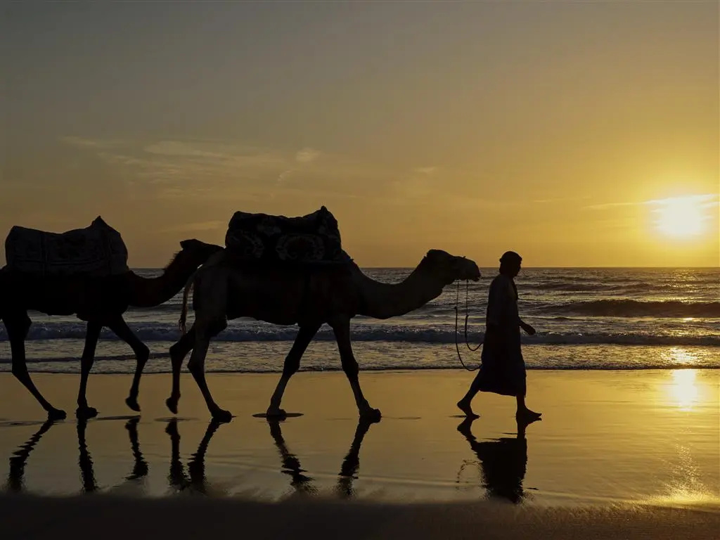 Foto - Fairmont Taghazout Bay