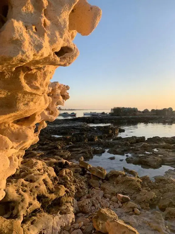 Photo - Dar Lola Djerba