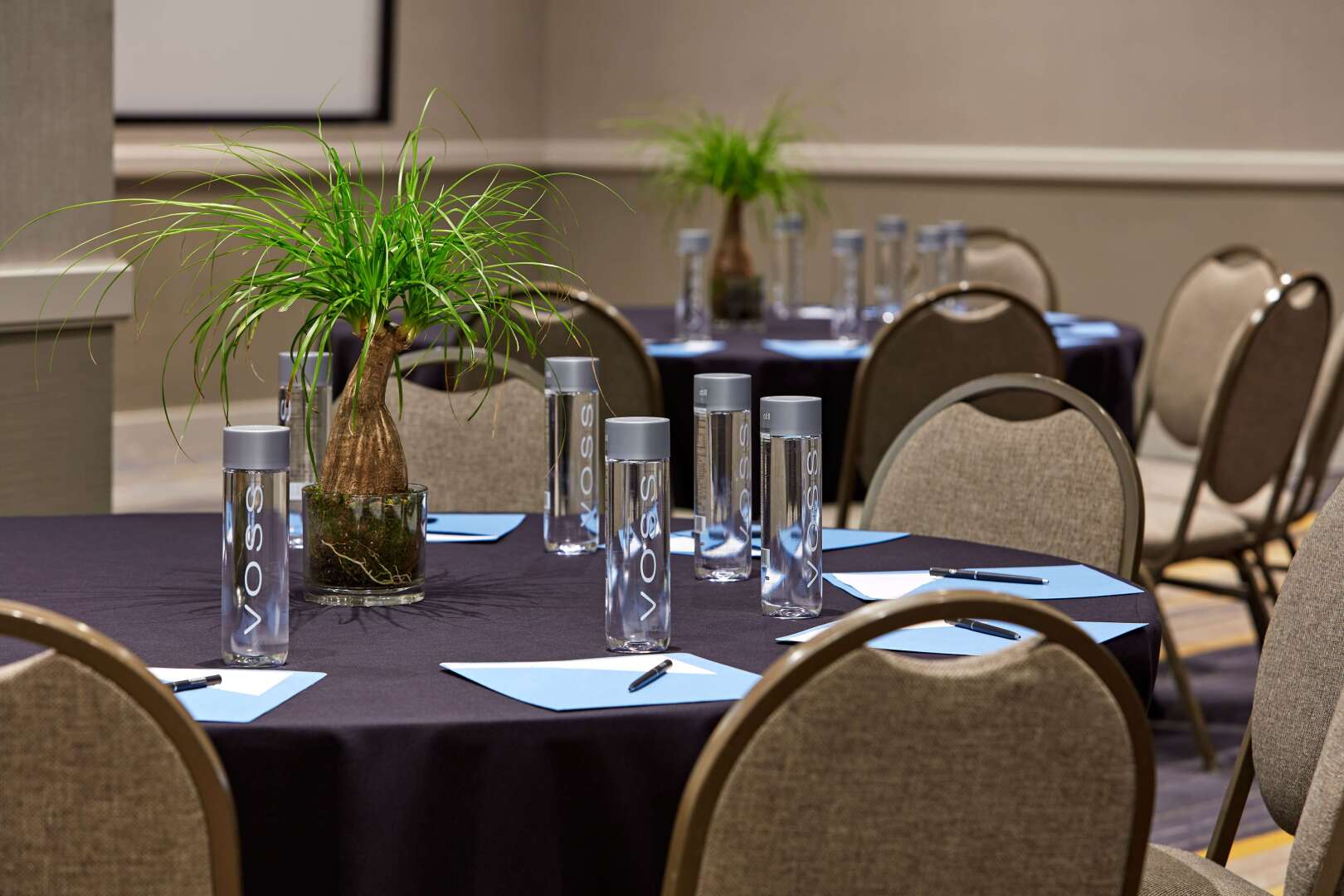 Foto - Homewood Suites by Hilton San Diego Mission Valley/Zoo