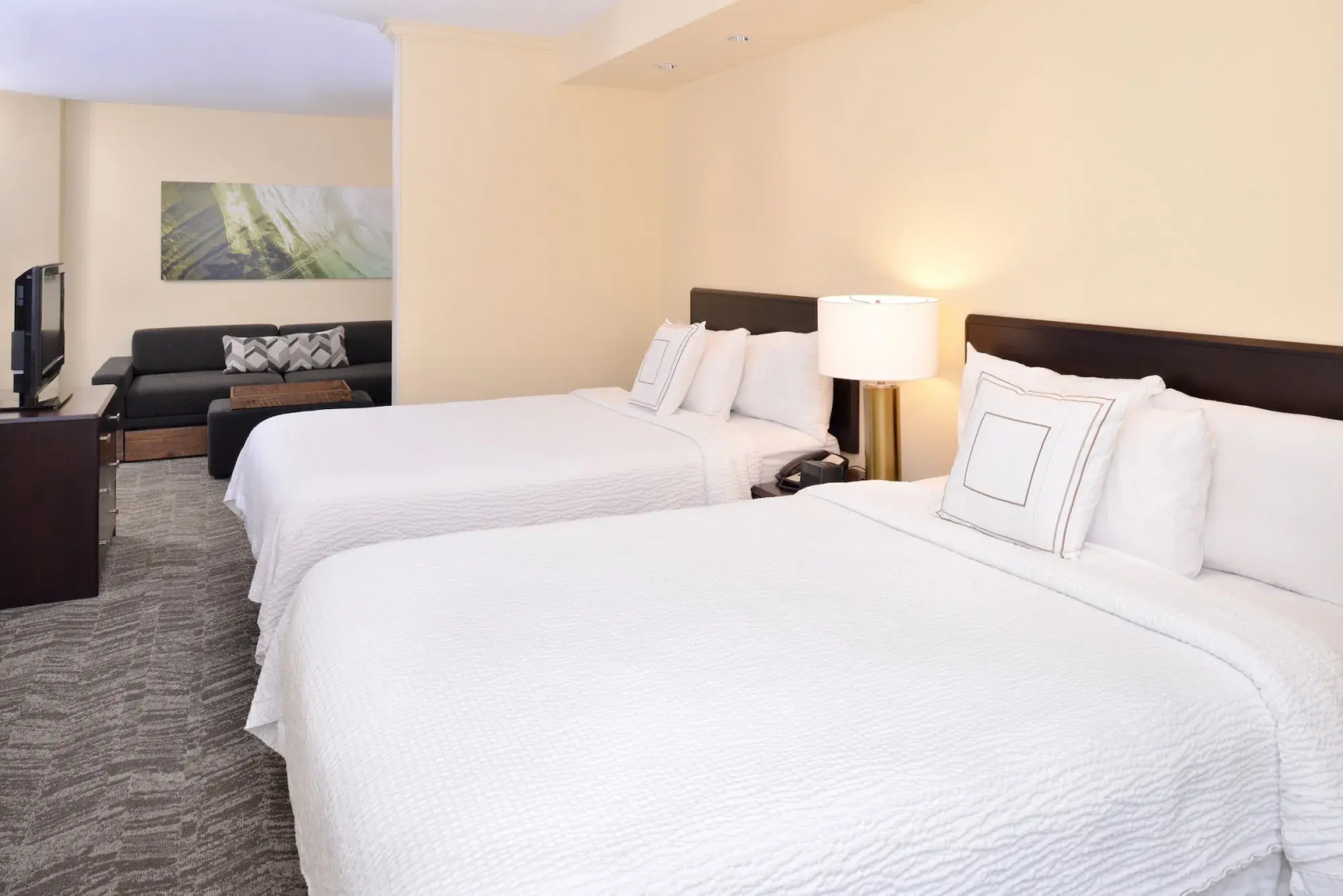 Foto - SpringHill Suites by Marriott San Diego Mission Valley