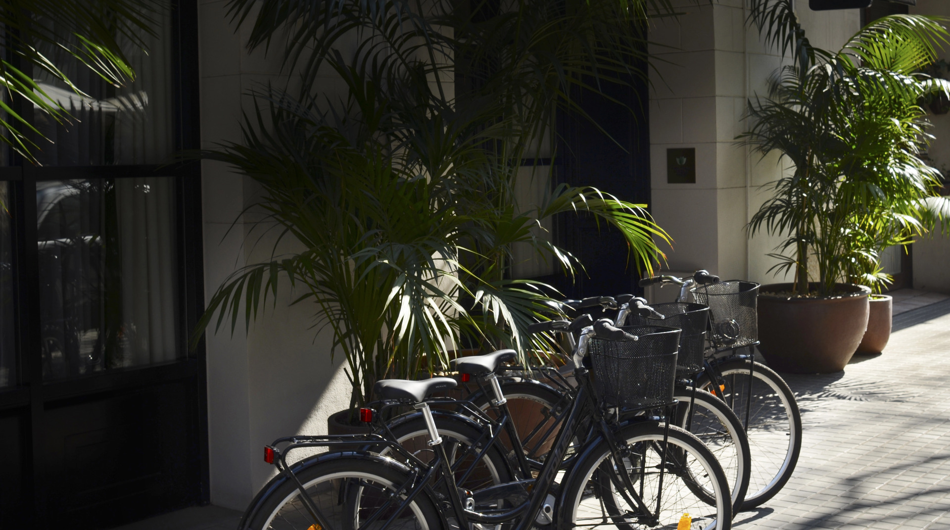 Foto - Ofelias Hotel 4Sup