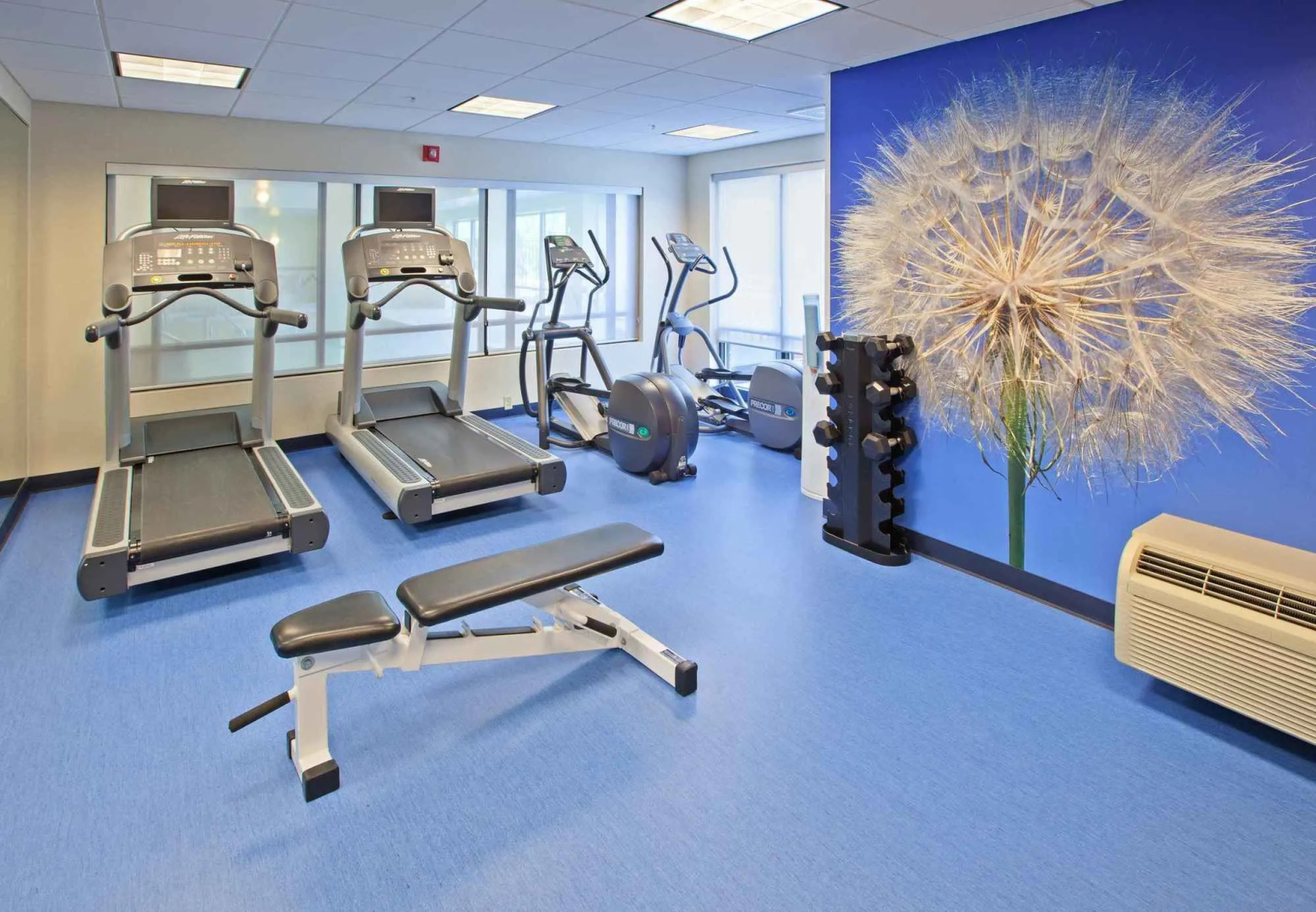 Foto - Springhill Suites by Marriott Chicago Schaumburg/Woodfield Mall