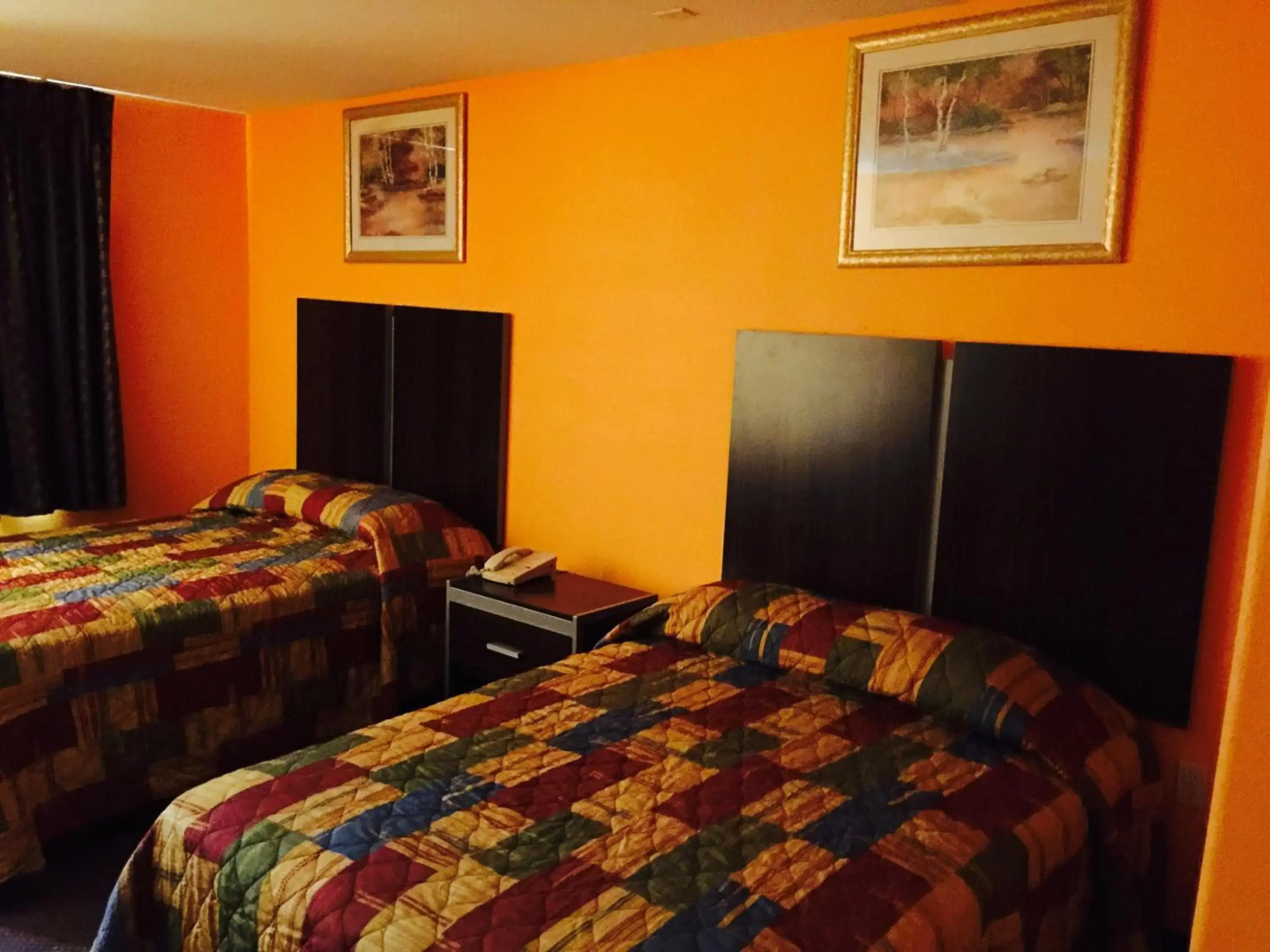Foto - Scottish Inn & Suites - Hobby Airport