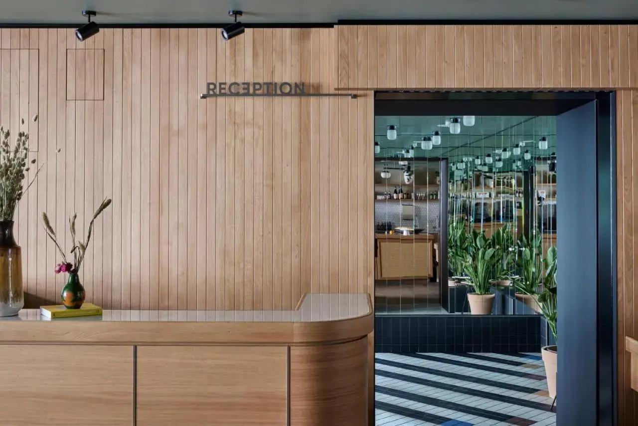 Photo - Schwan Locke