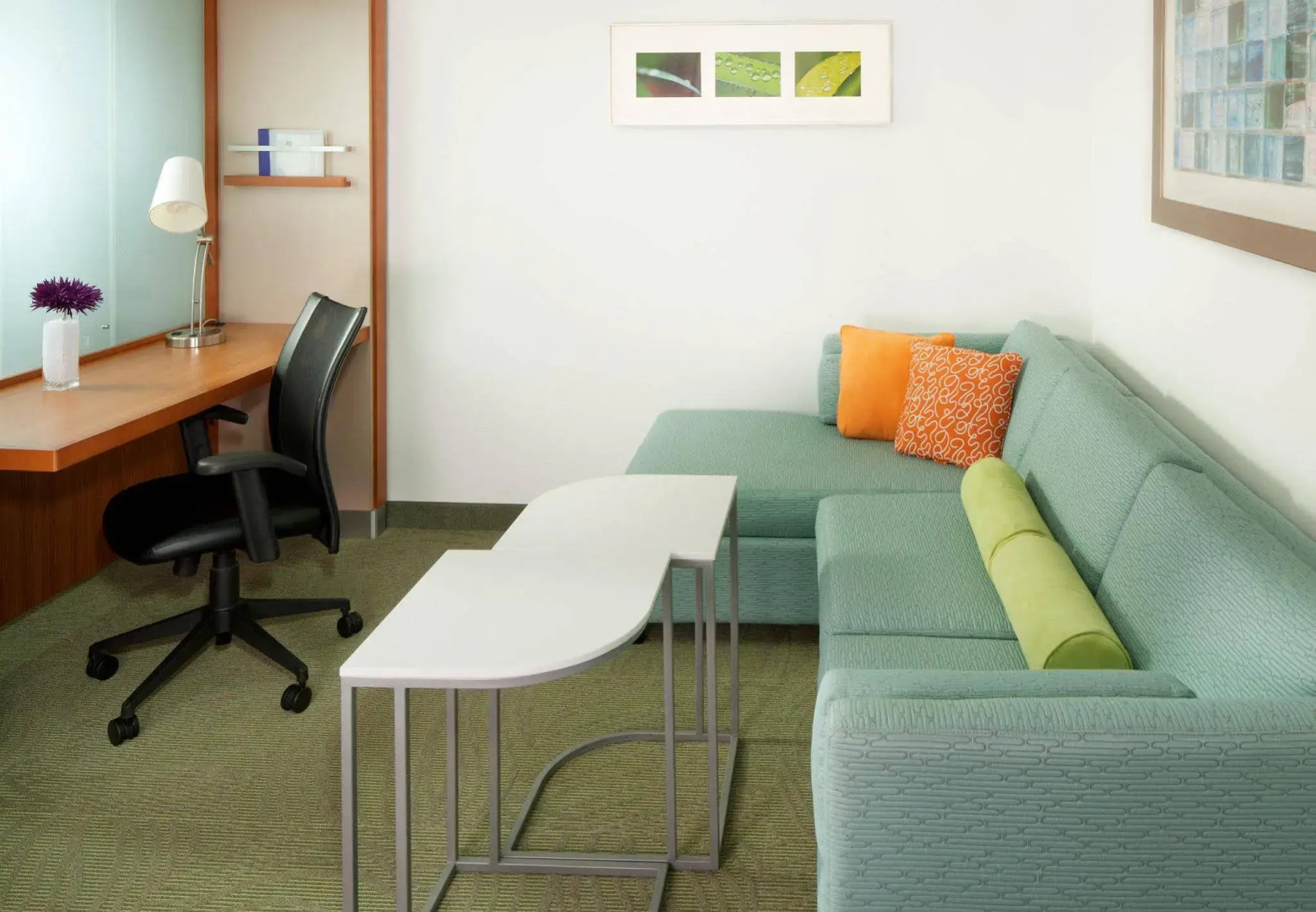 Foto - SpringHill Suites by Marriott Orlando at SeaWorld