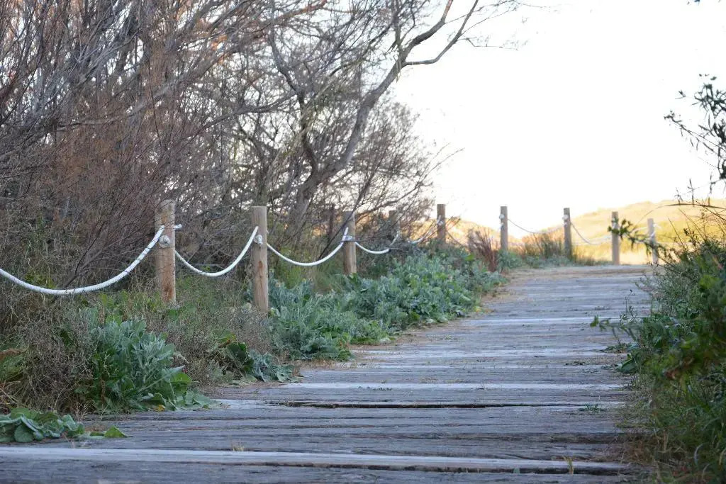 Foto - YOU & CO. Saler Beach Boutique