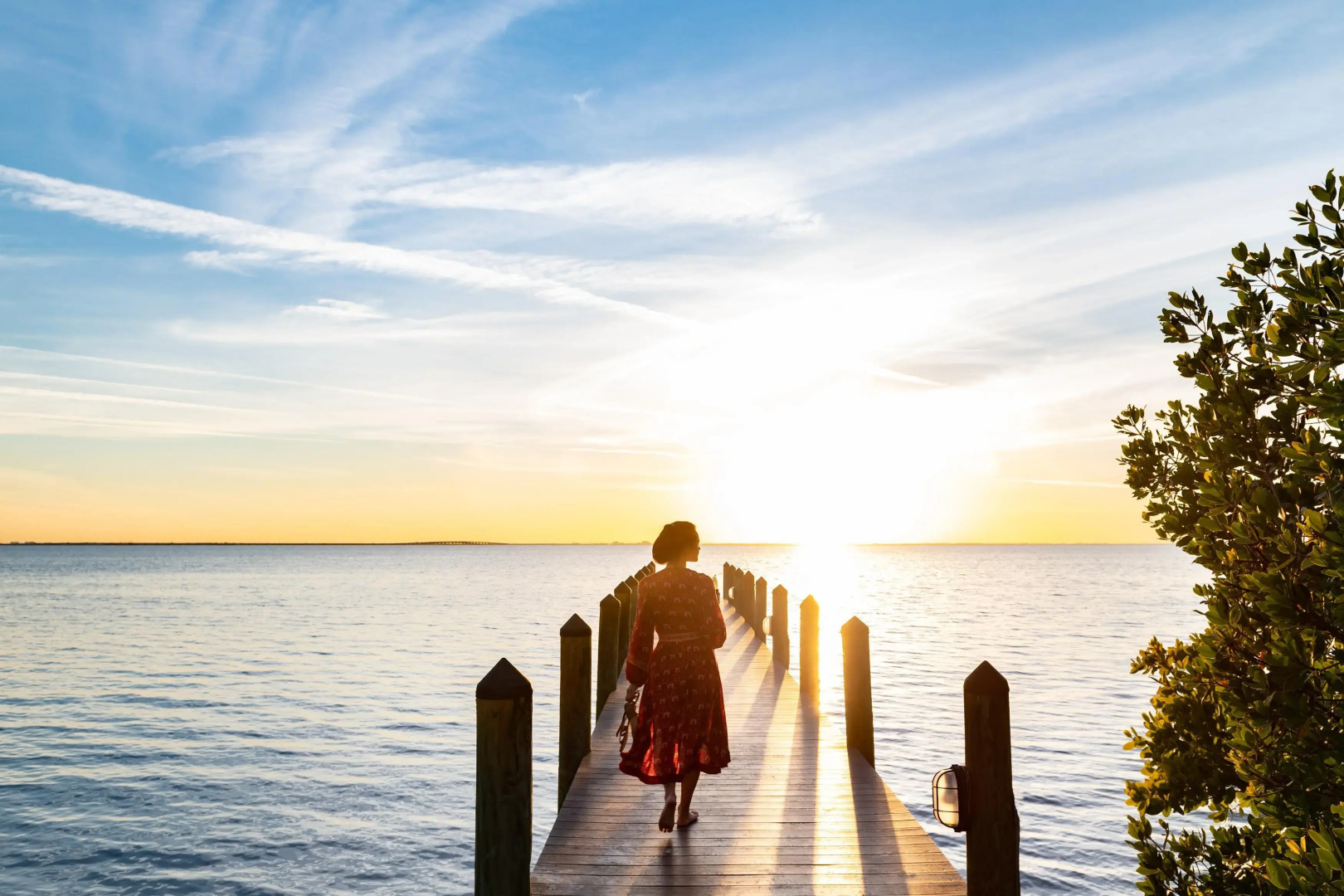 Foto - Grand Hyatt Tampa Bay