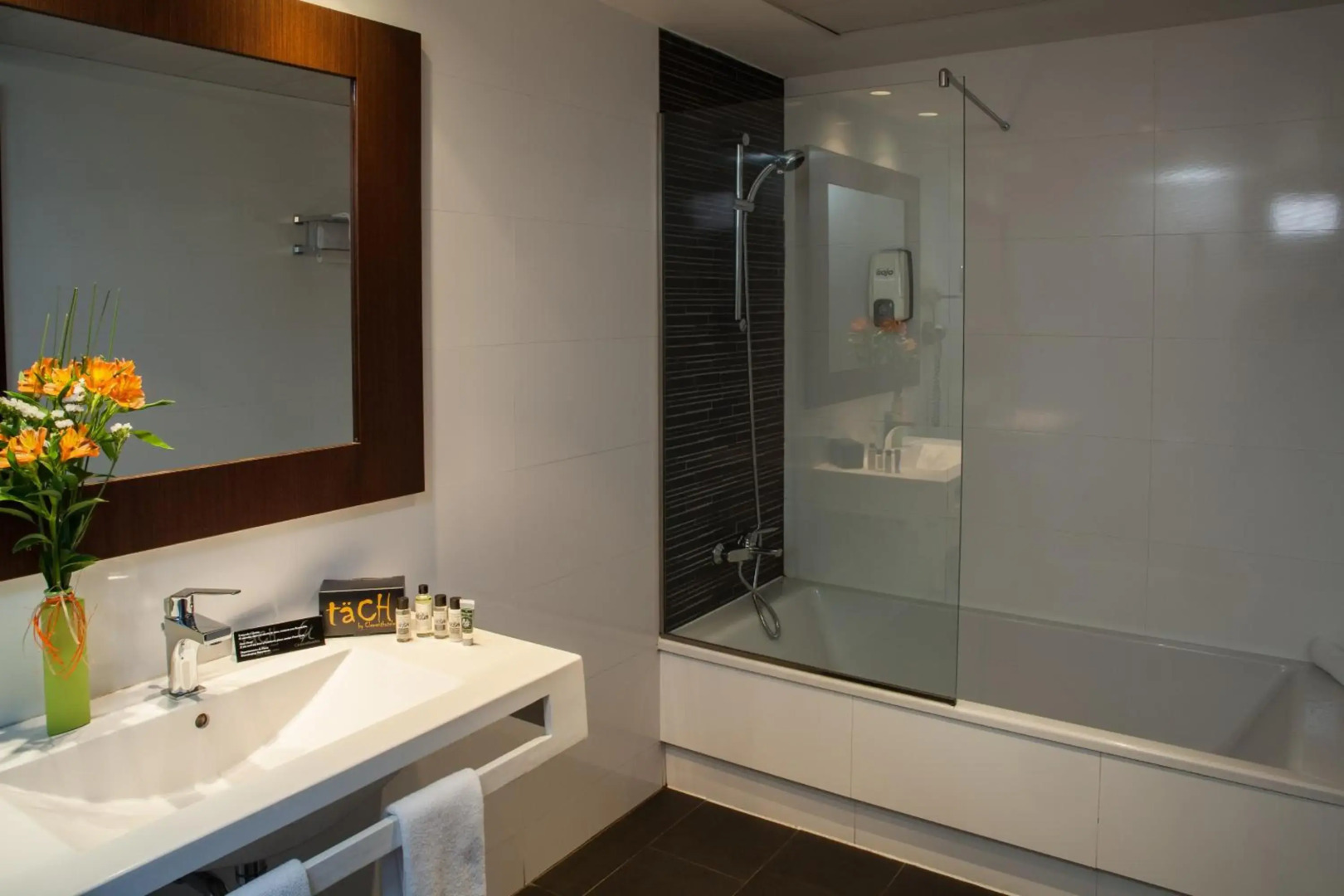 Foto - TaCH Madrid Airport