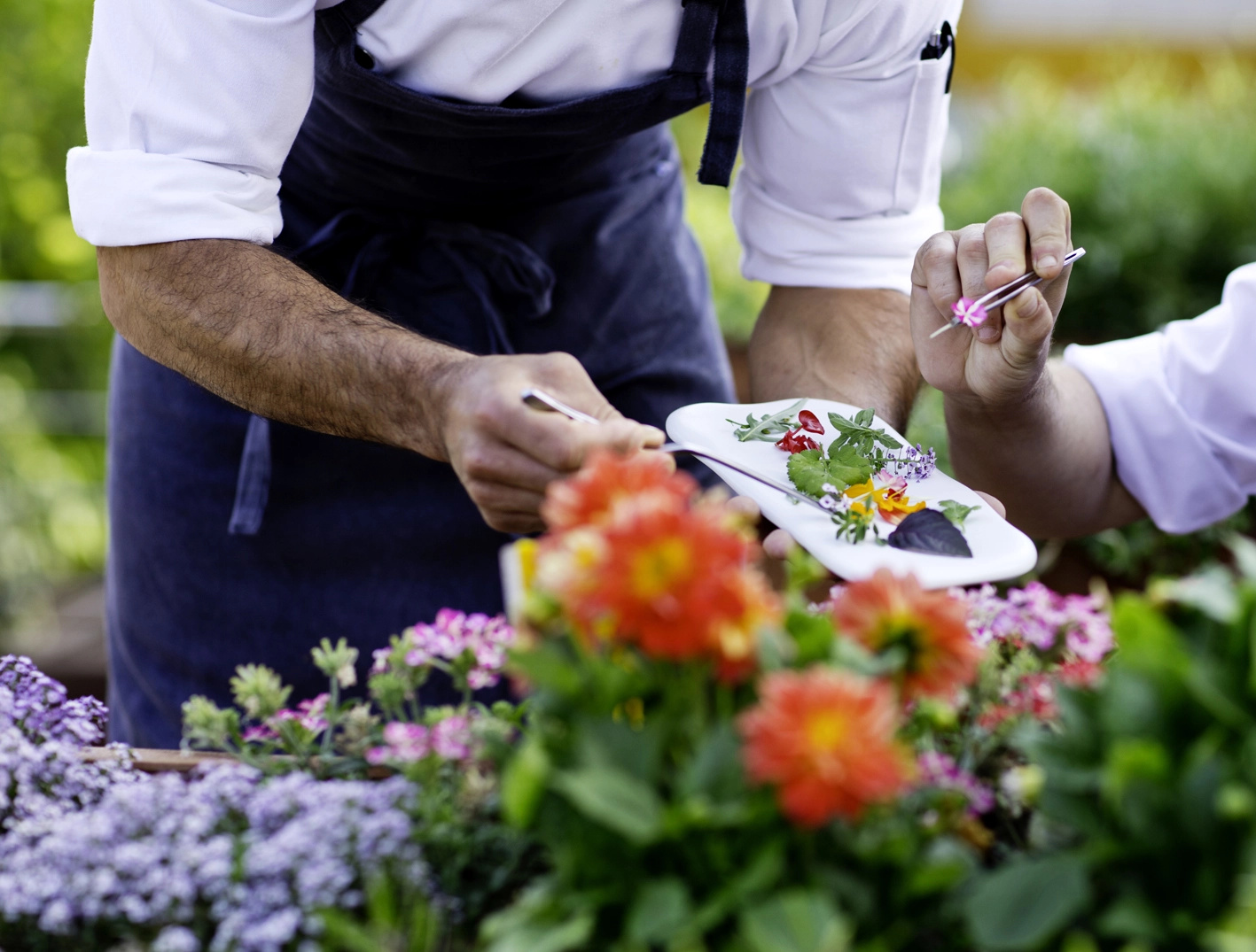 Photo - The Cook Book Gastro Boutique Hotel & Spa