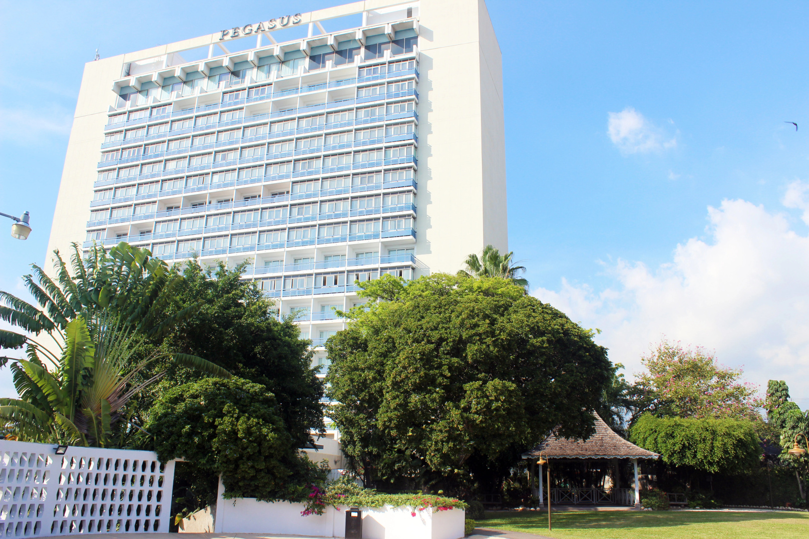 Foto - The Jamaica Pegasus Hotel