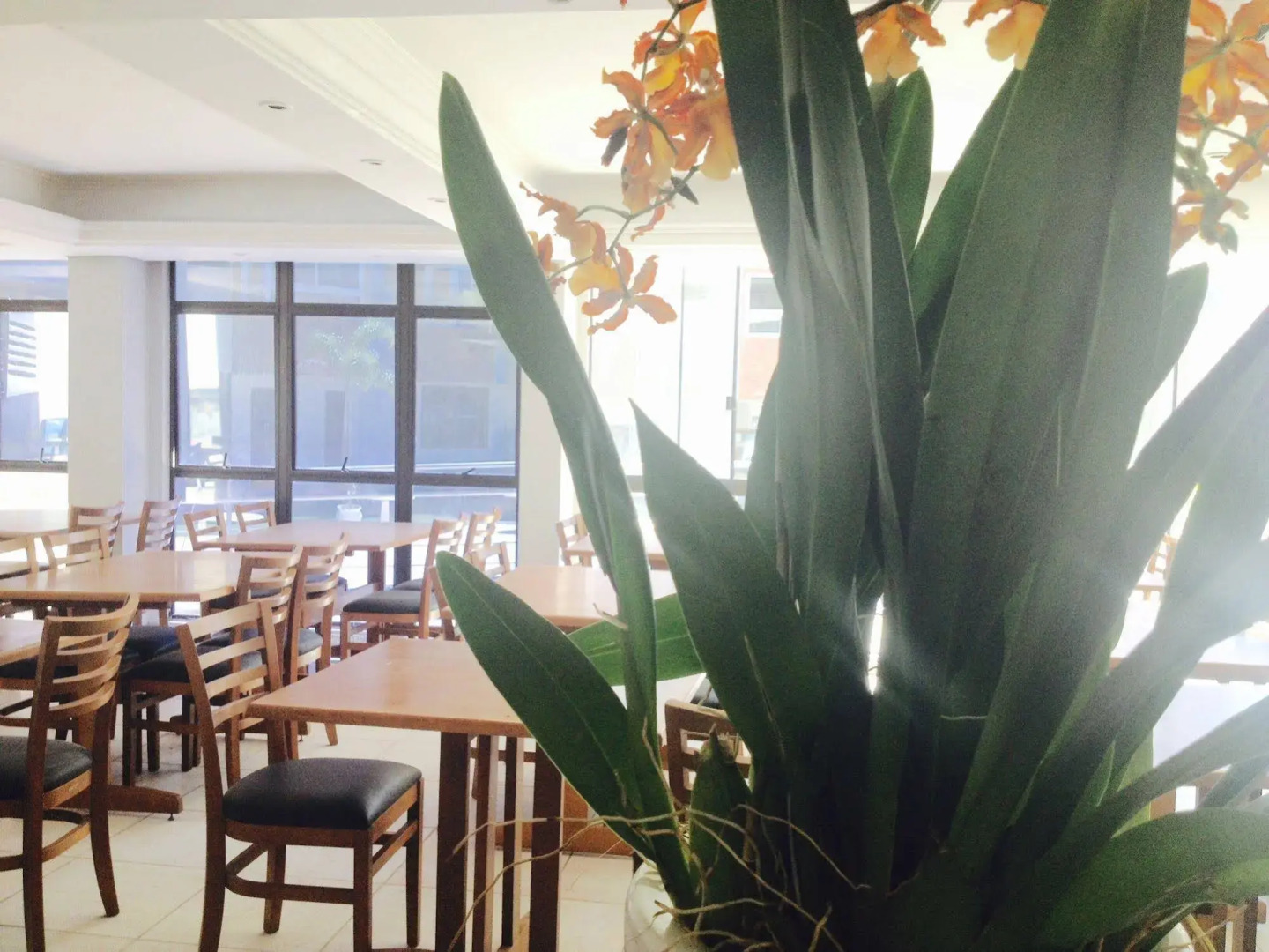 Photo - Boulevard Beach Canasvieiras Hotel