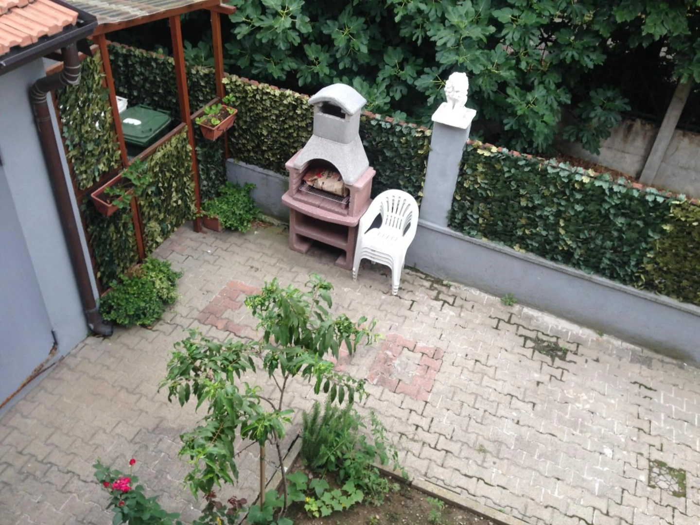 Foto - Bonola