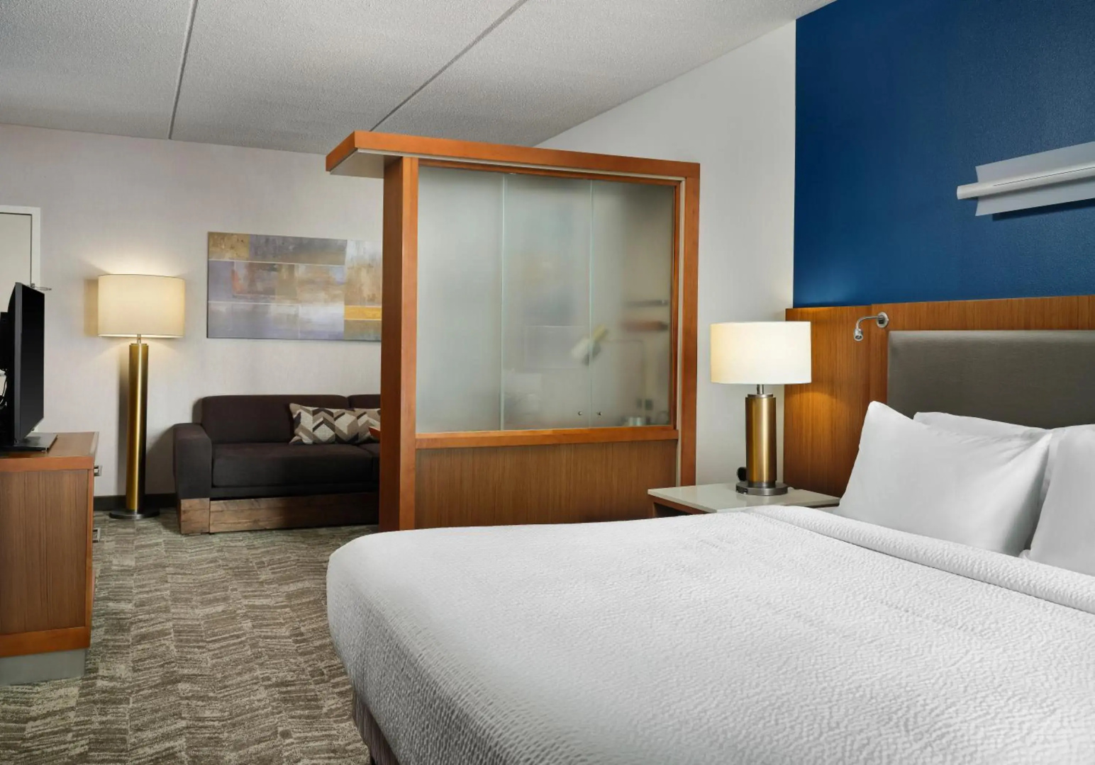 Photo - Springhill Suites by Marriott Pittsburgh Mt. Lebanon