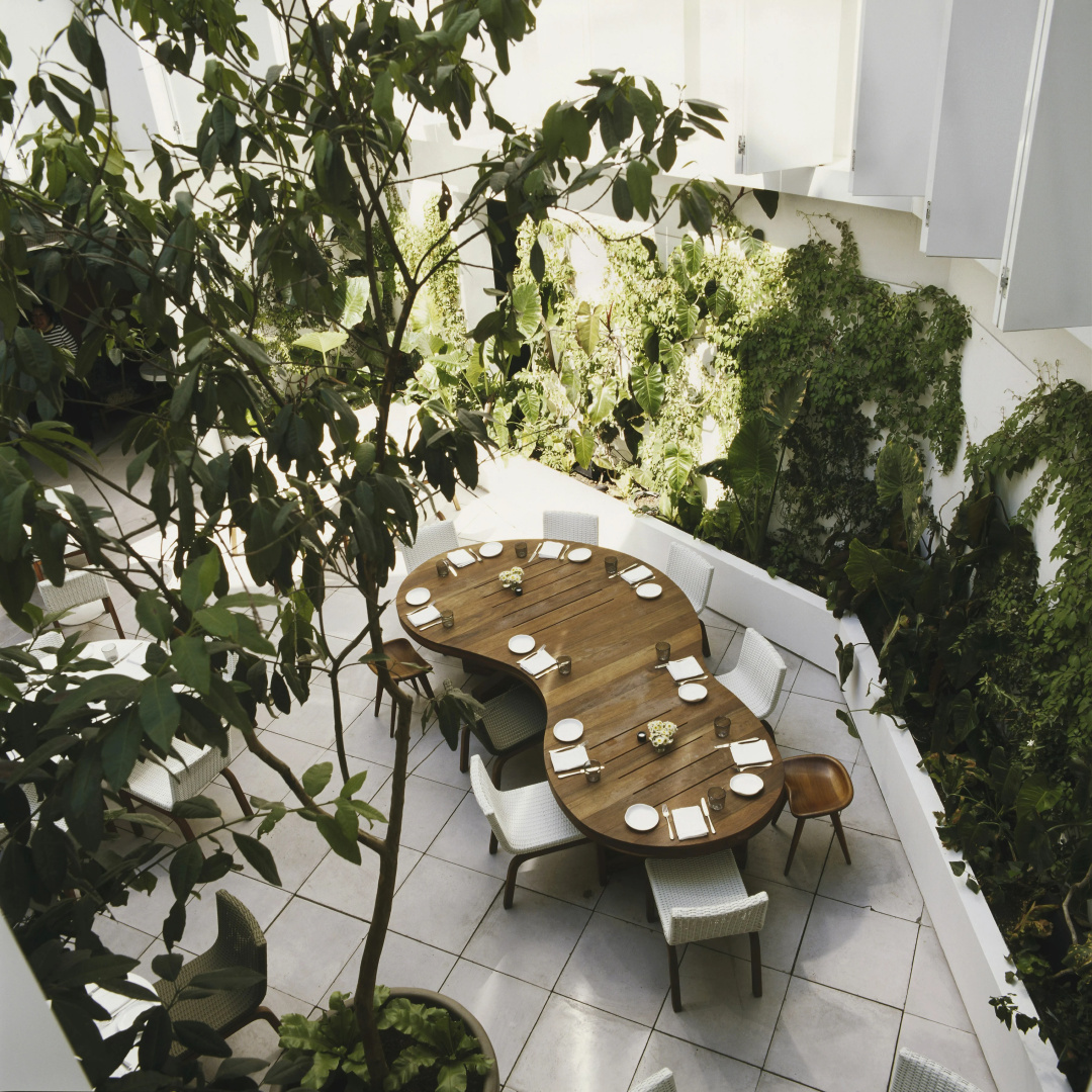 Foto - Condesa df, Mexico City, a Member of Design Hotels