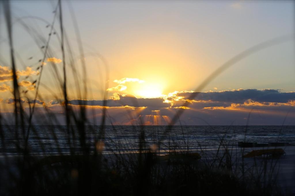 Foto - Shoreline Island Resort - Exclusively Adult