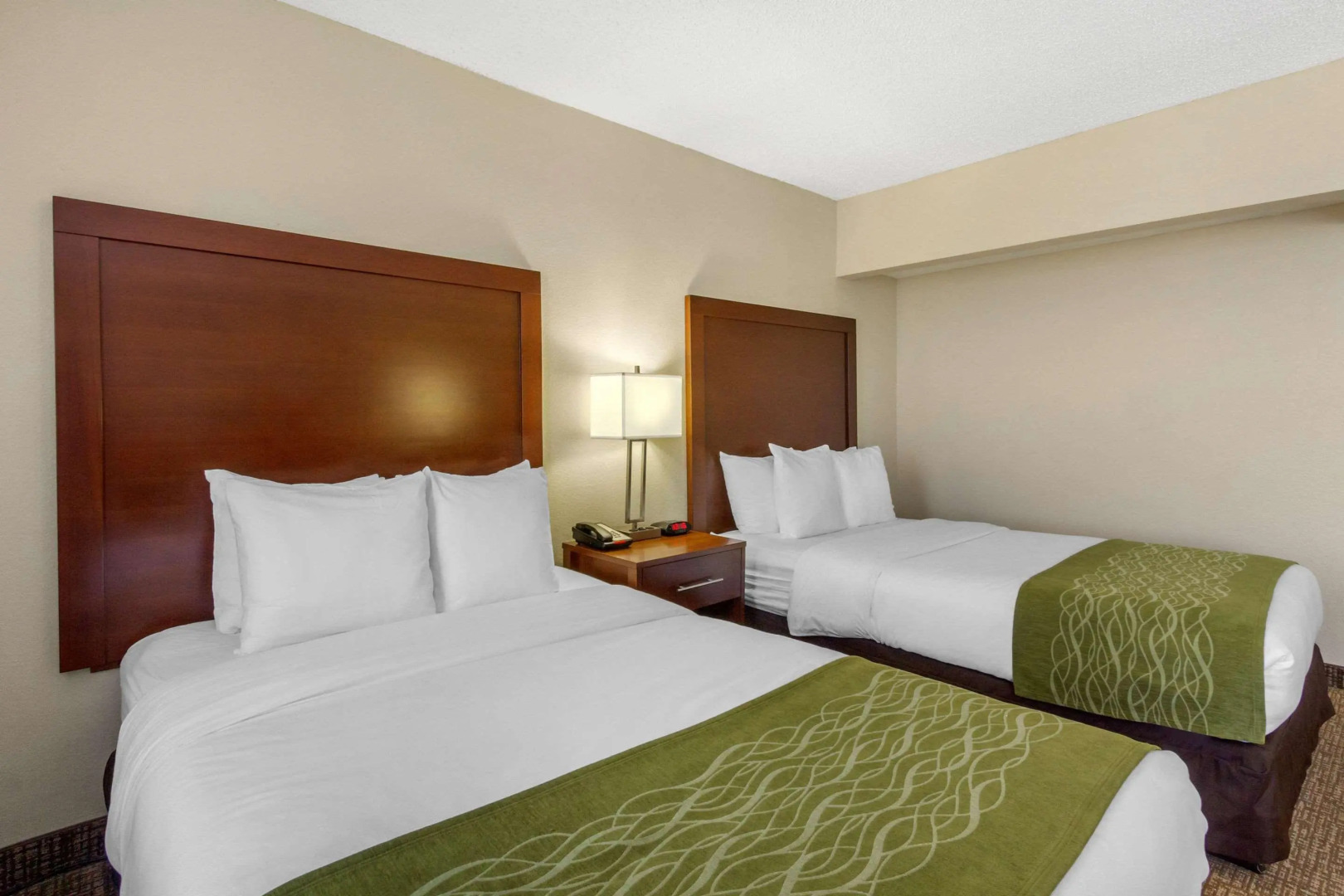 Photo - Comfort Inn St Petersburg North