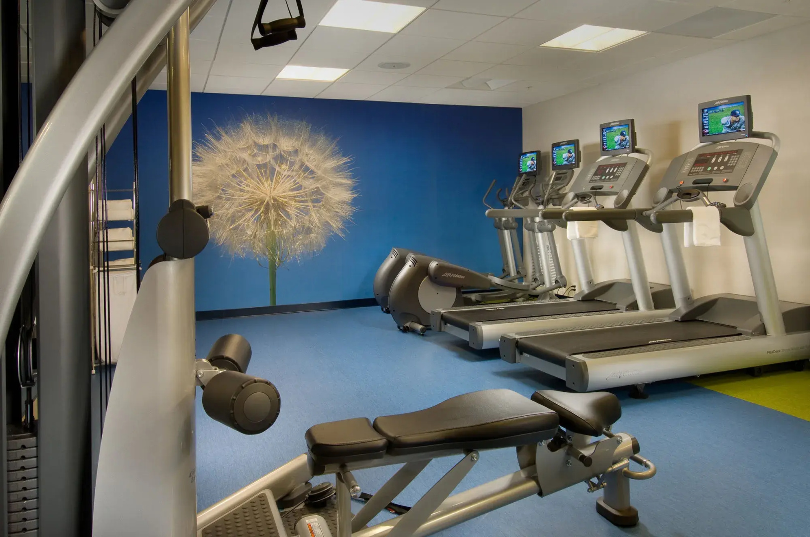 Foto - SpringHill Suites Alexandria