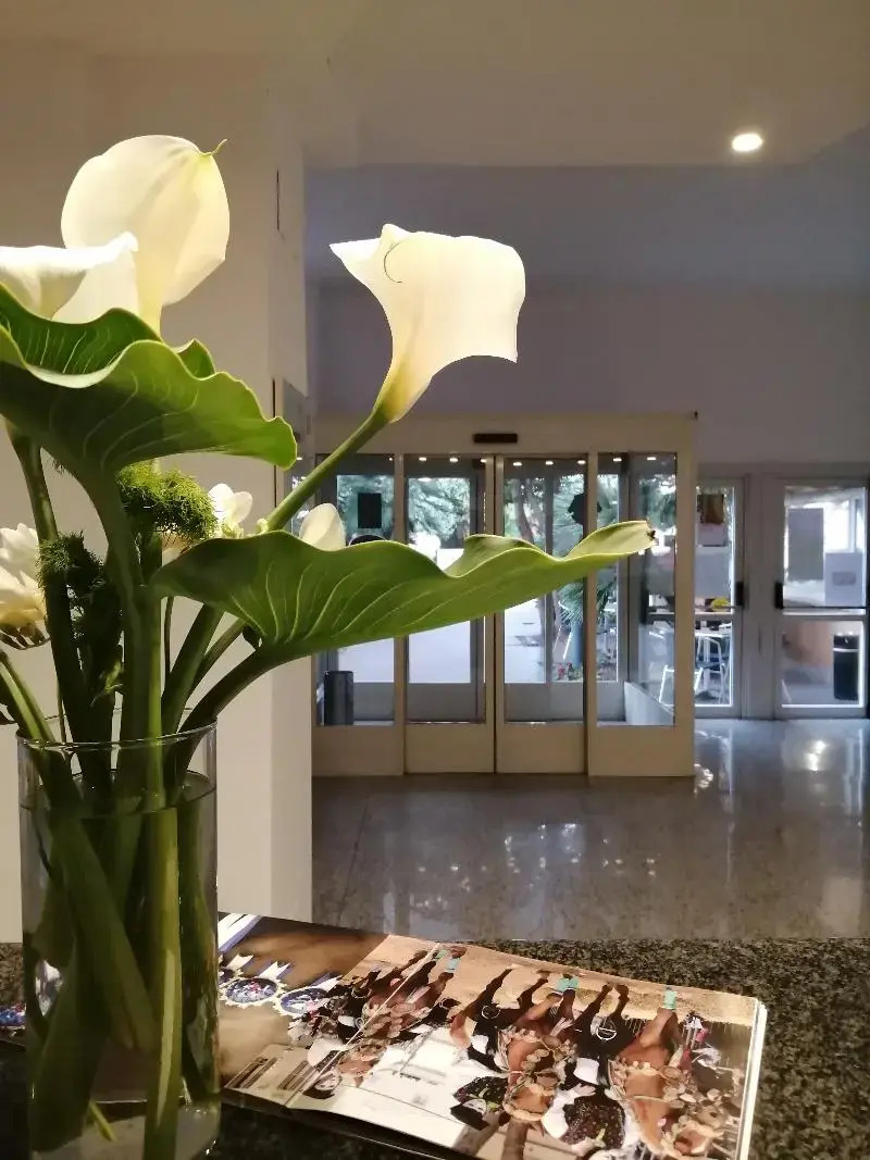 Photo - Hotel Mistral