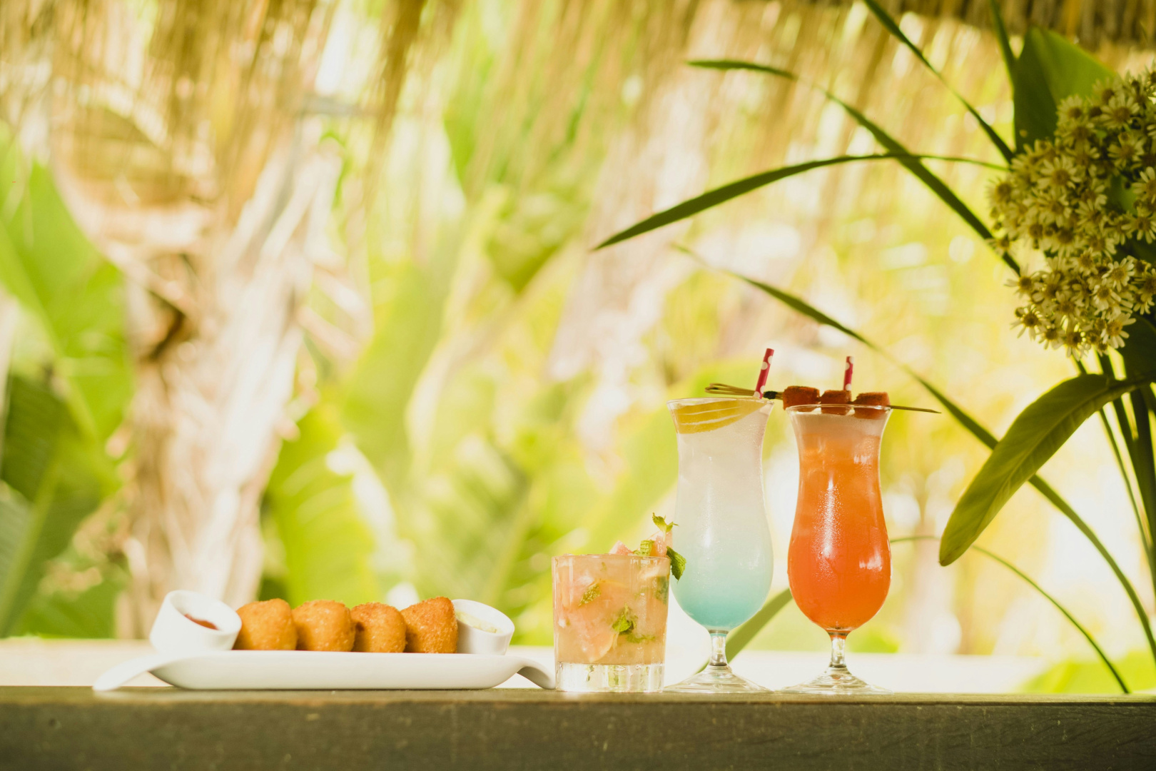 Foto - Sheraton Colonia Golf & Spa Resort