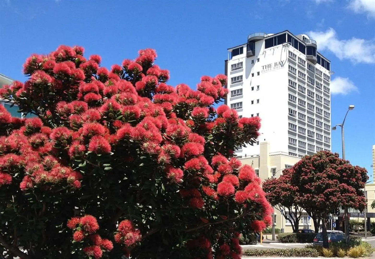 Photo - Bay Plaza Hotel