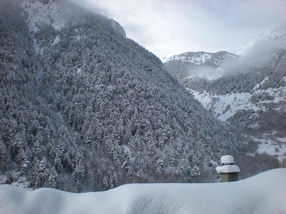 Photo - Hotel Montane