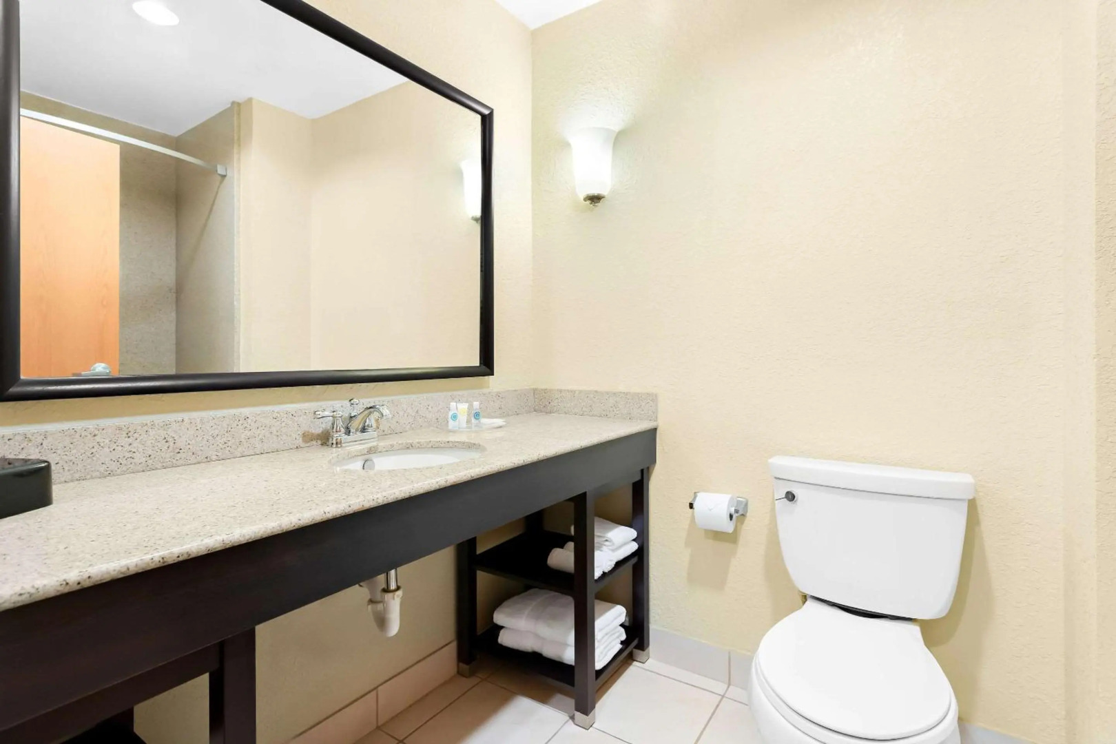 Photo - Comfort Suites Tampa Airport North