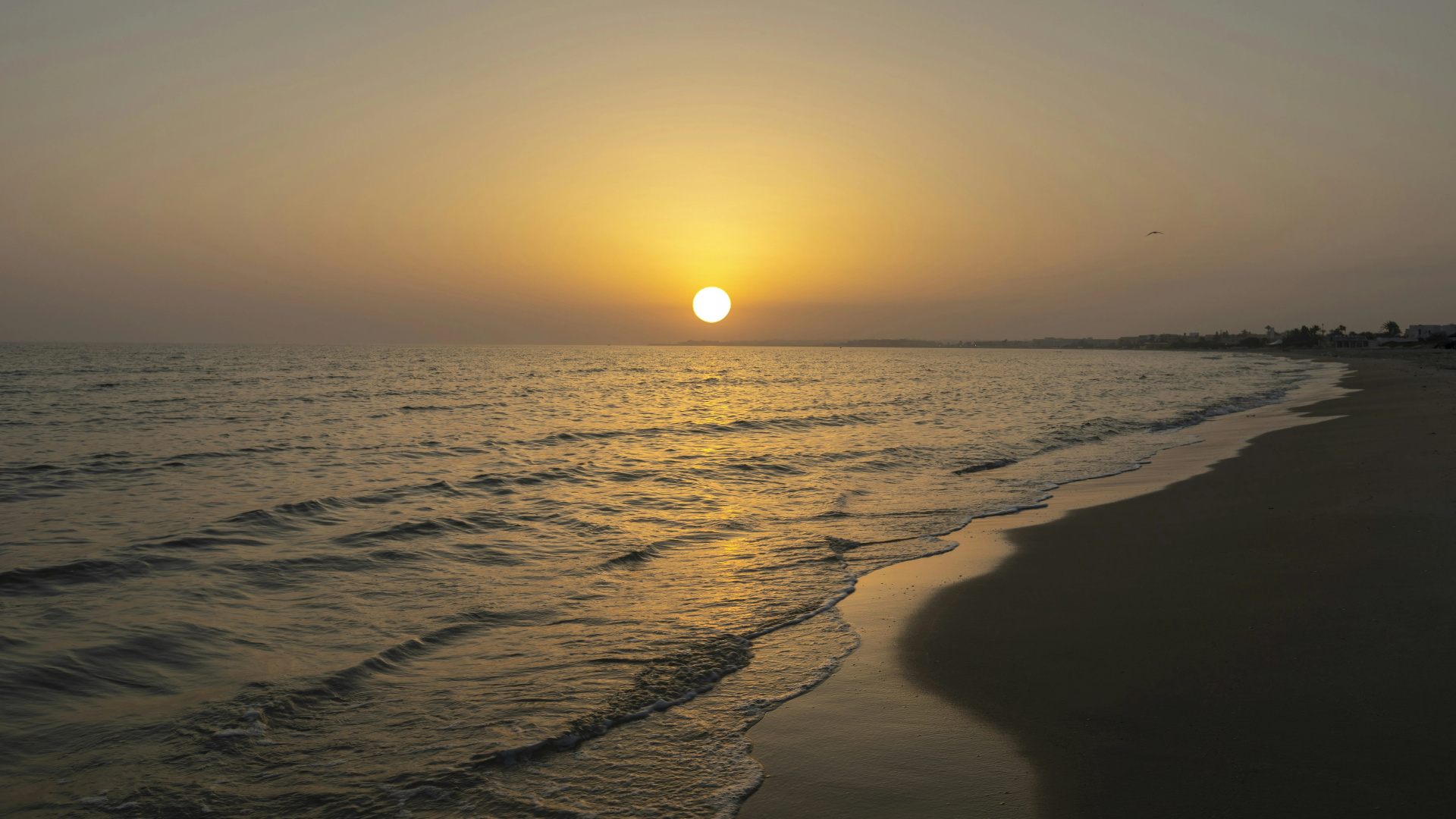 Foto - Hilton Skanes Monastir Beach Resort